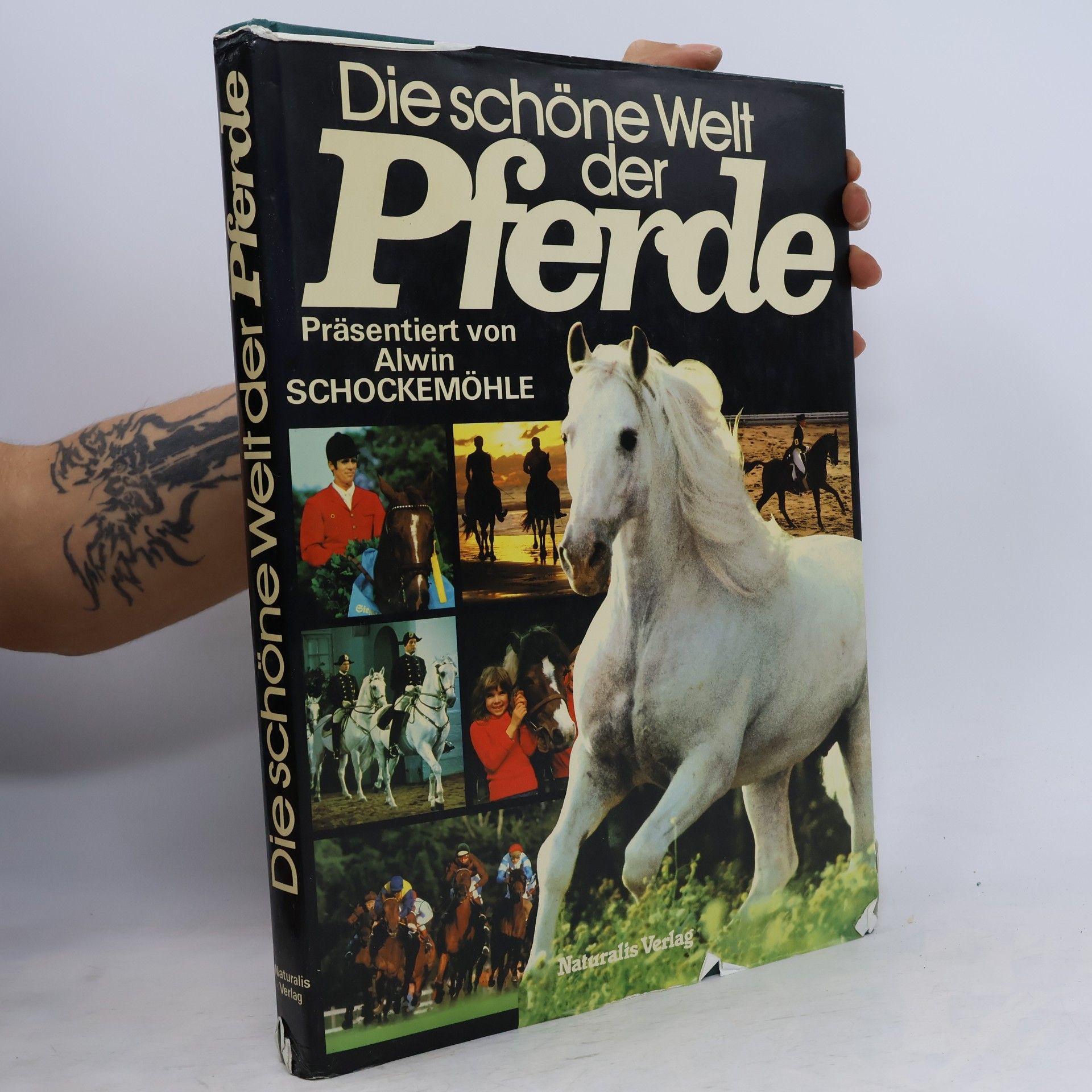 Alwin Schockemöhle Die schöne Welt der Pferde