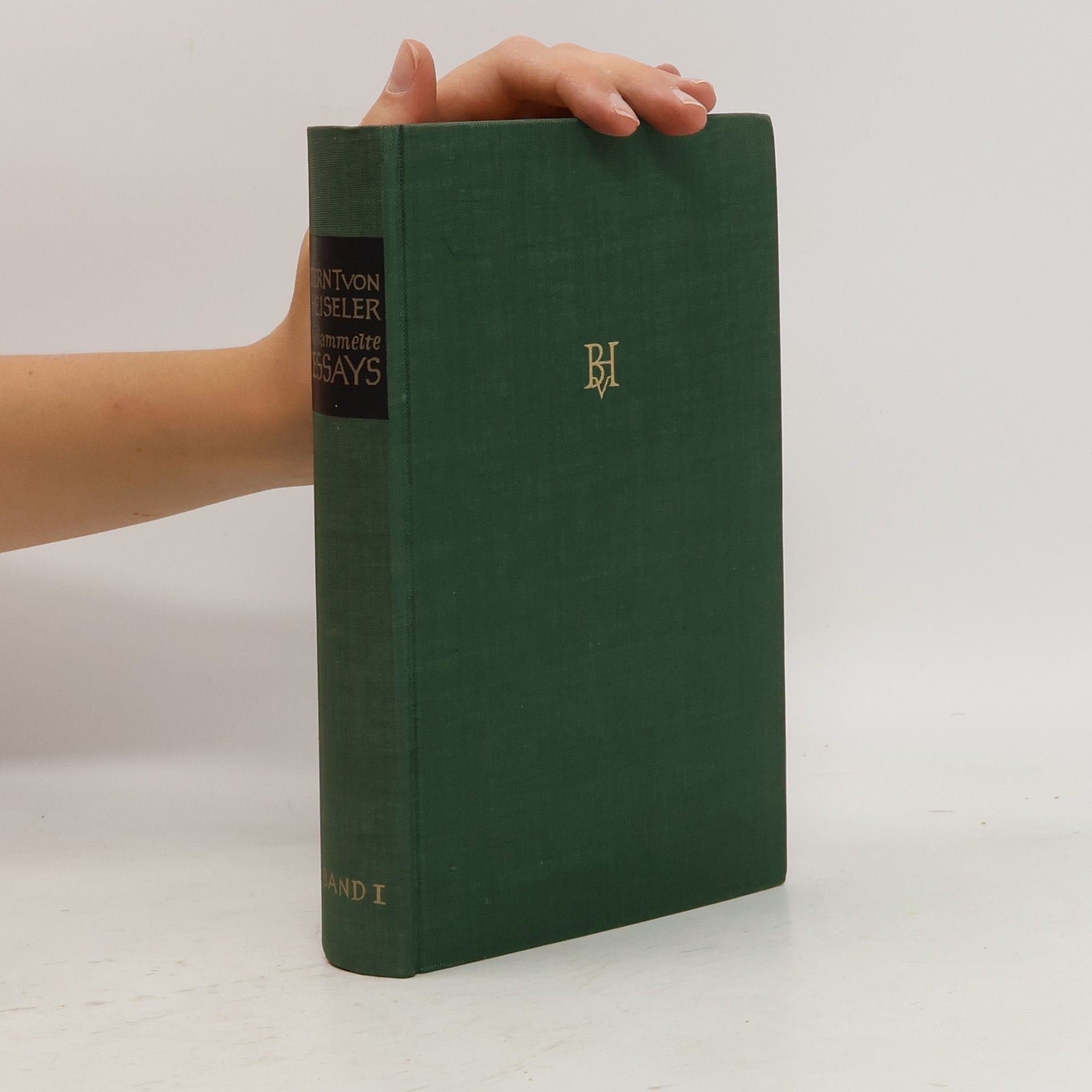 Gesammelte Essays