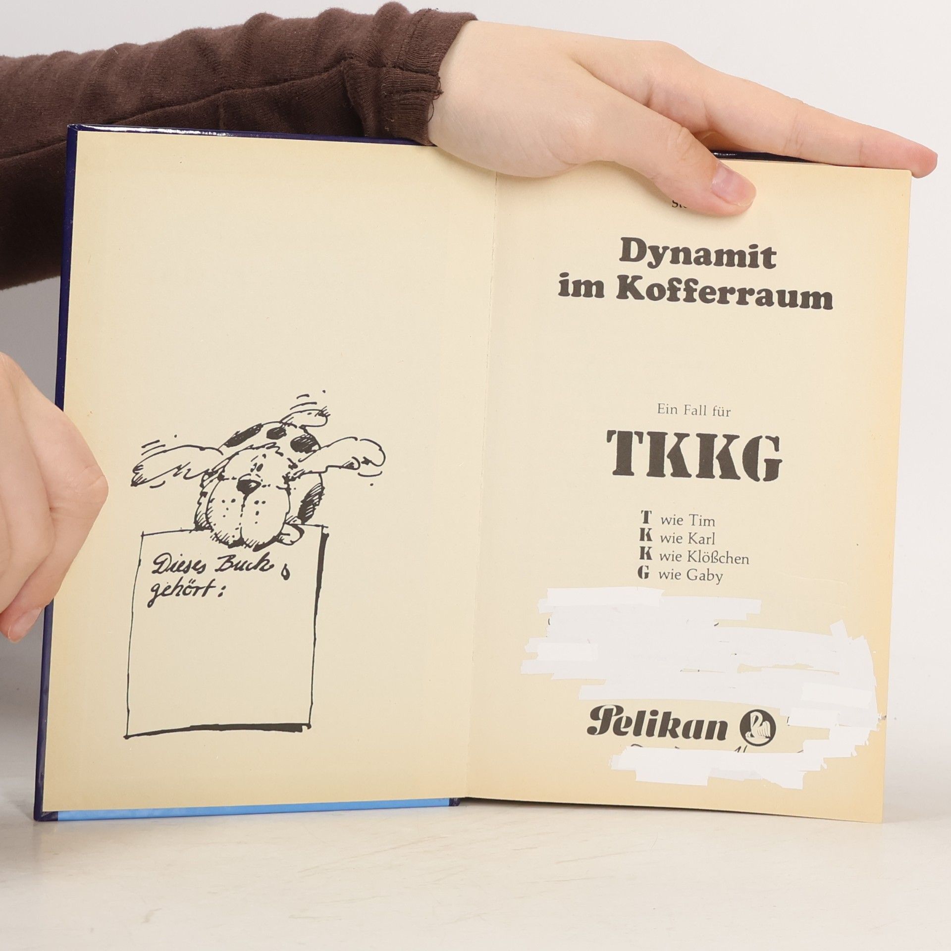 kolektiv Ein Fall für TKKG, Bd.65, Dynamit im Kofferraum