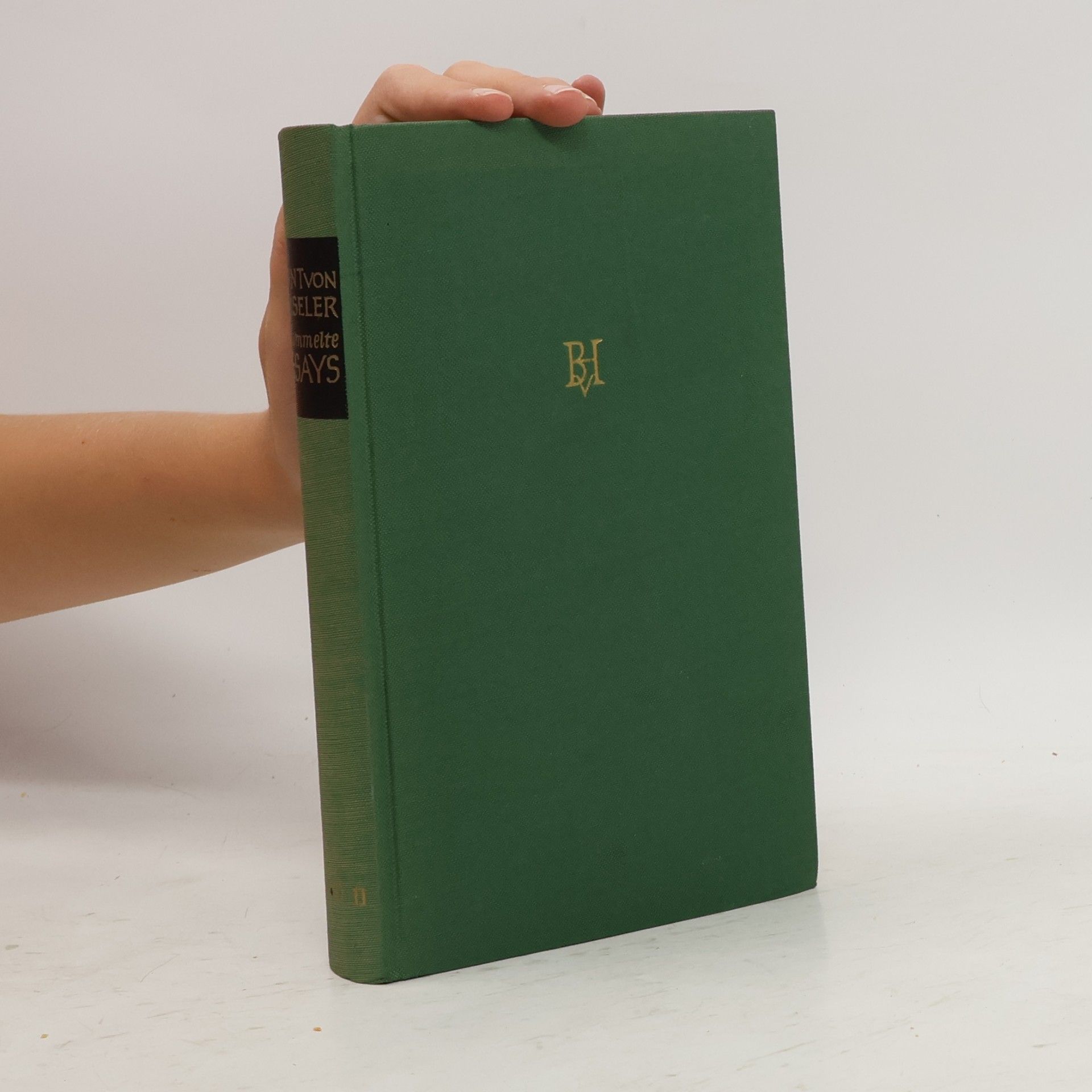 Gesammelte Essays zur alten und neuen Literatur II