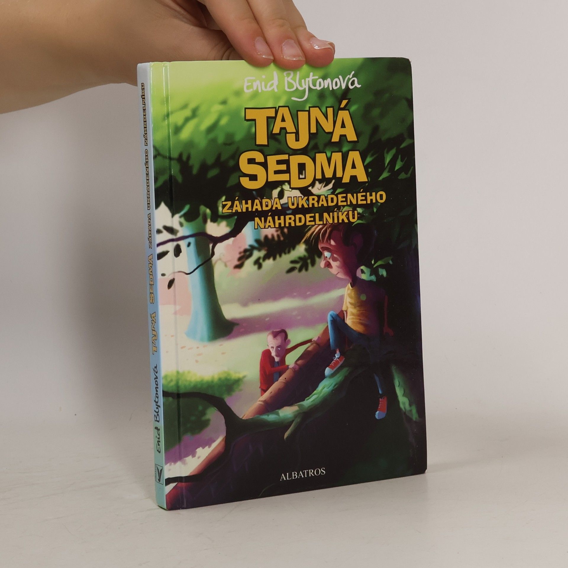 Enid Blyton Záhada ukradeného náhrdelníku