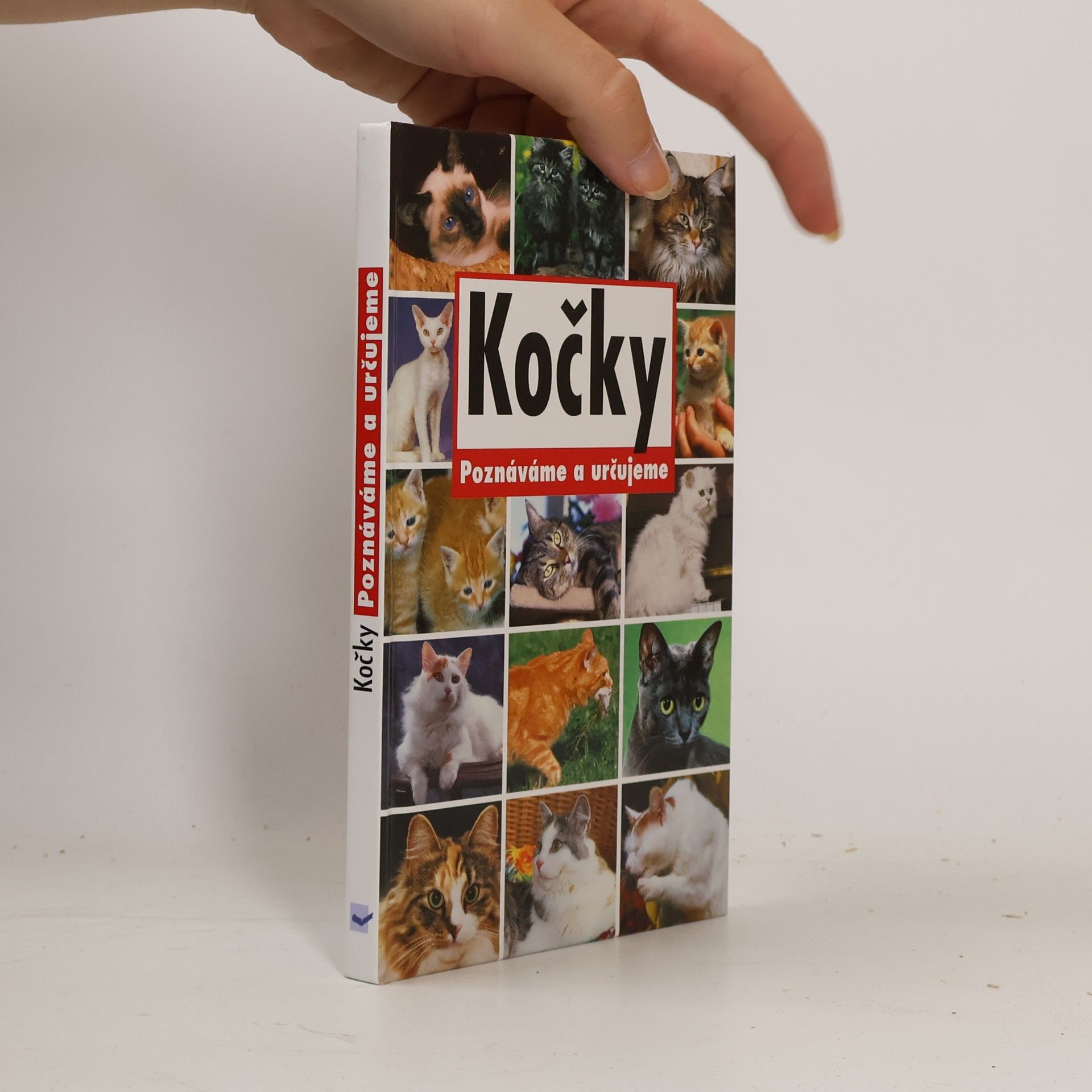 Autorenkollektiv Kočky. Poznáváme a určujeme.