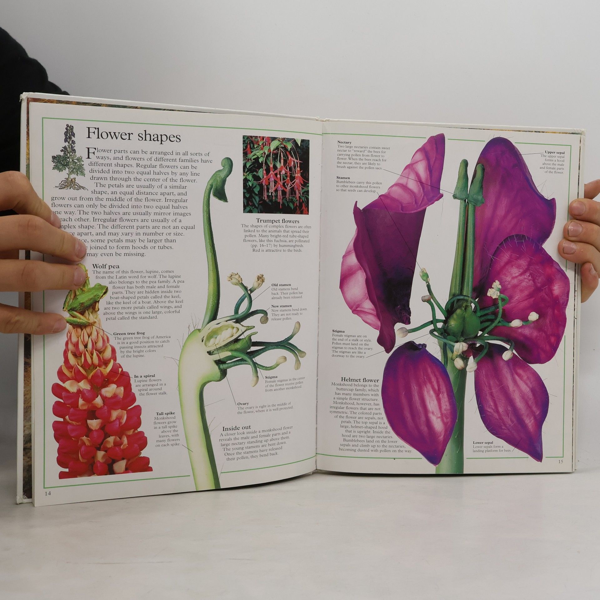 Barbara Taylor Inside Guides: Incredible Plants
