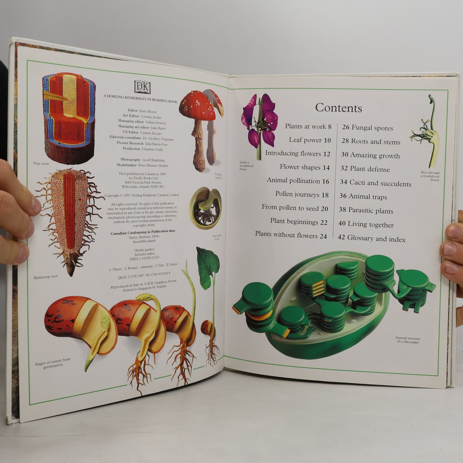 Barbara Taylor Inside Guides: Incredible Plants
