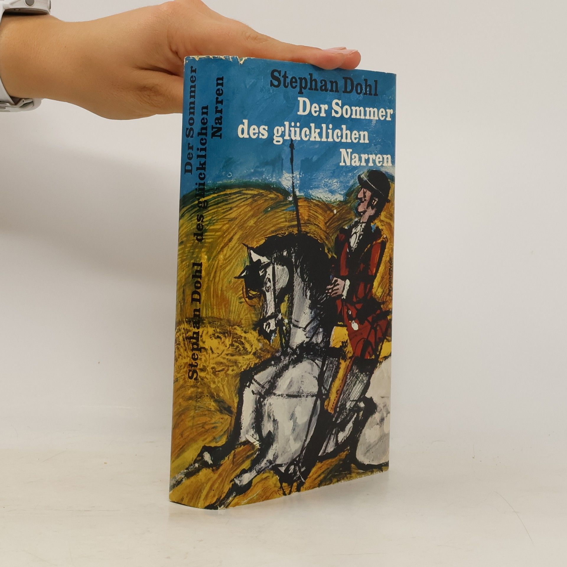 Stephan Dohl Der Sommer des glücklichen Narren