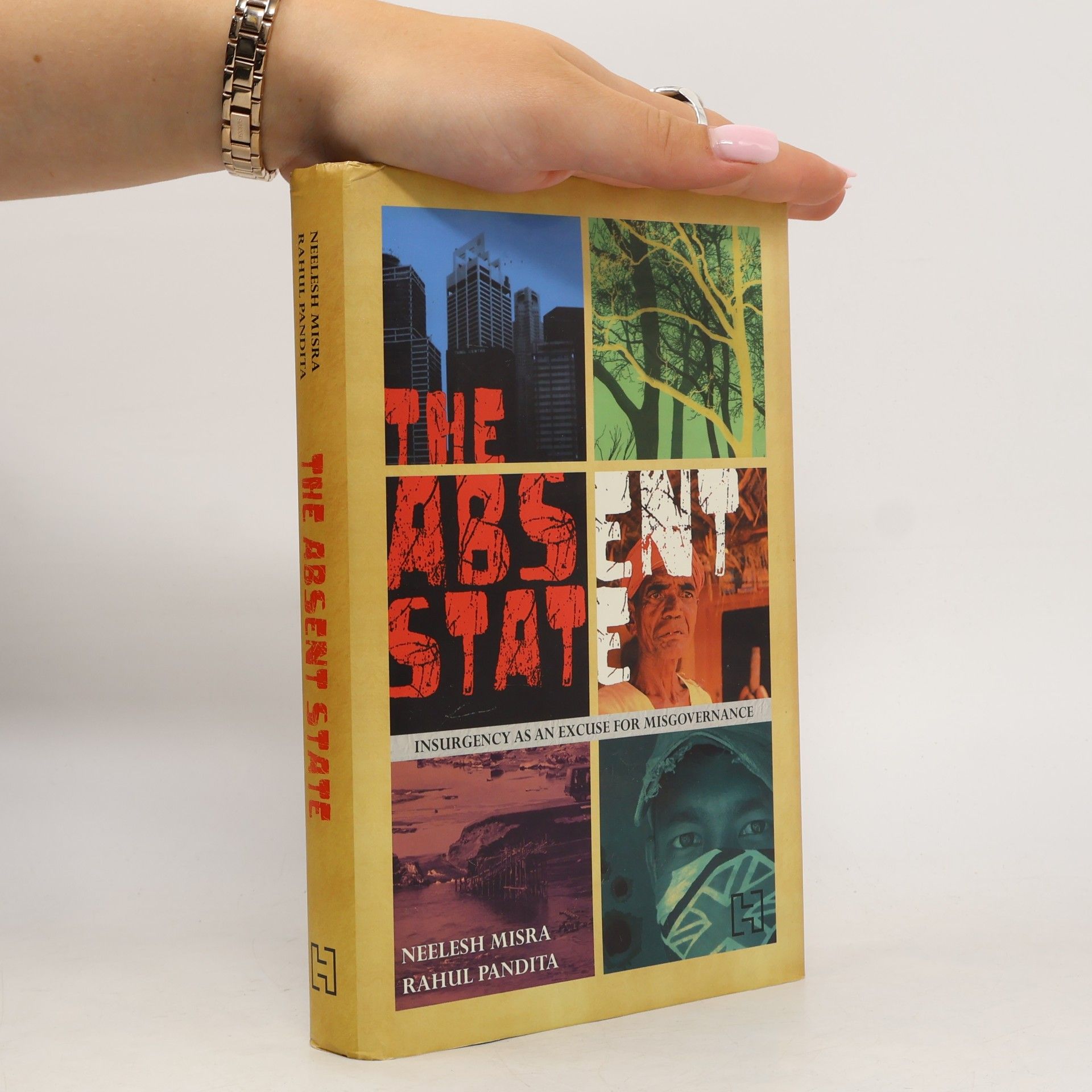 Neelesh Misra The Absent State