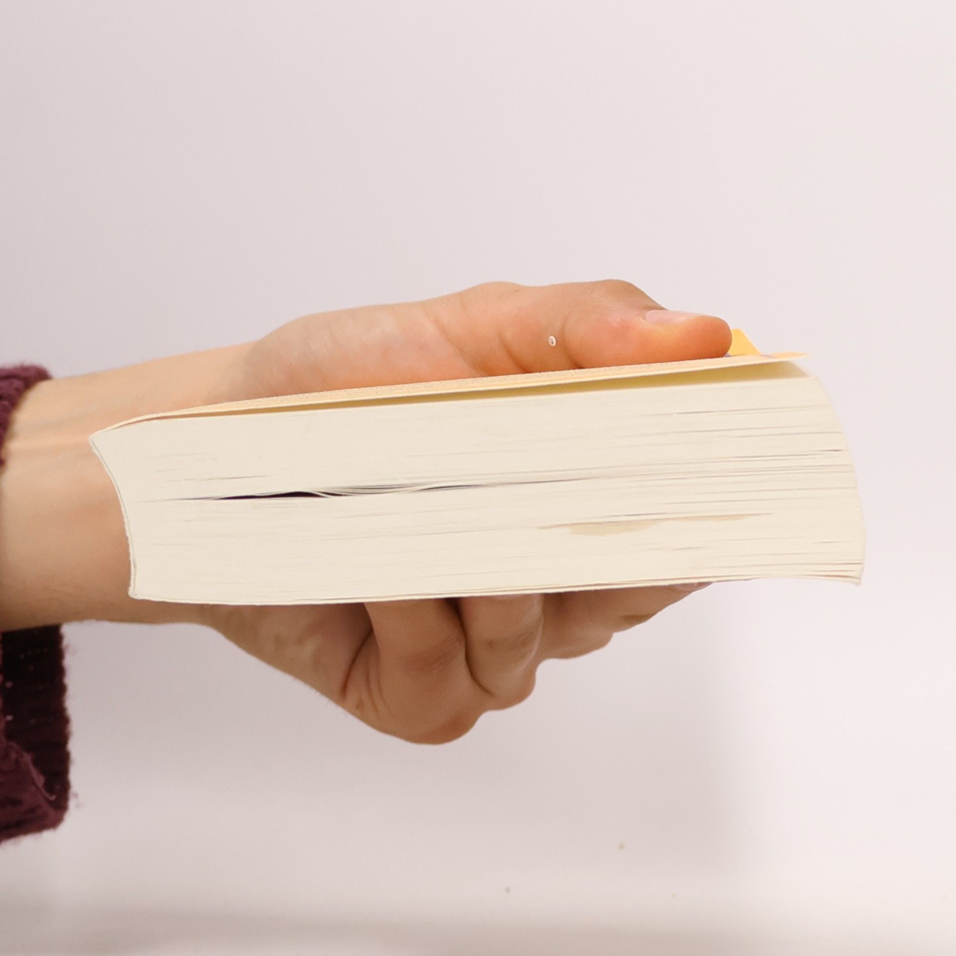 Paulo Coelho Der Sieger bleibt allein