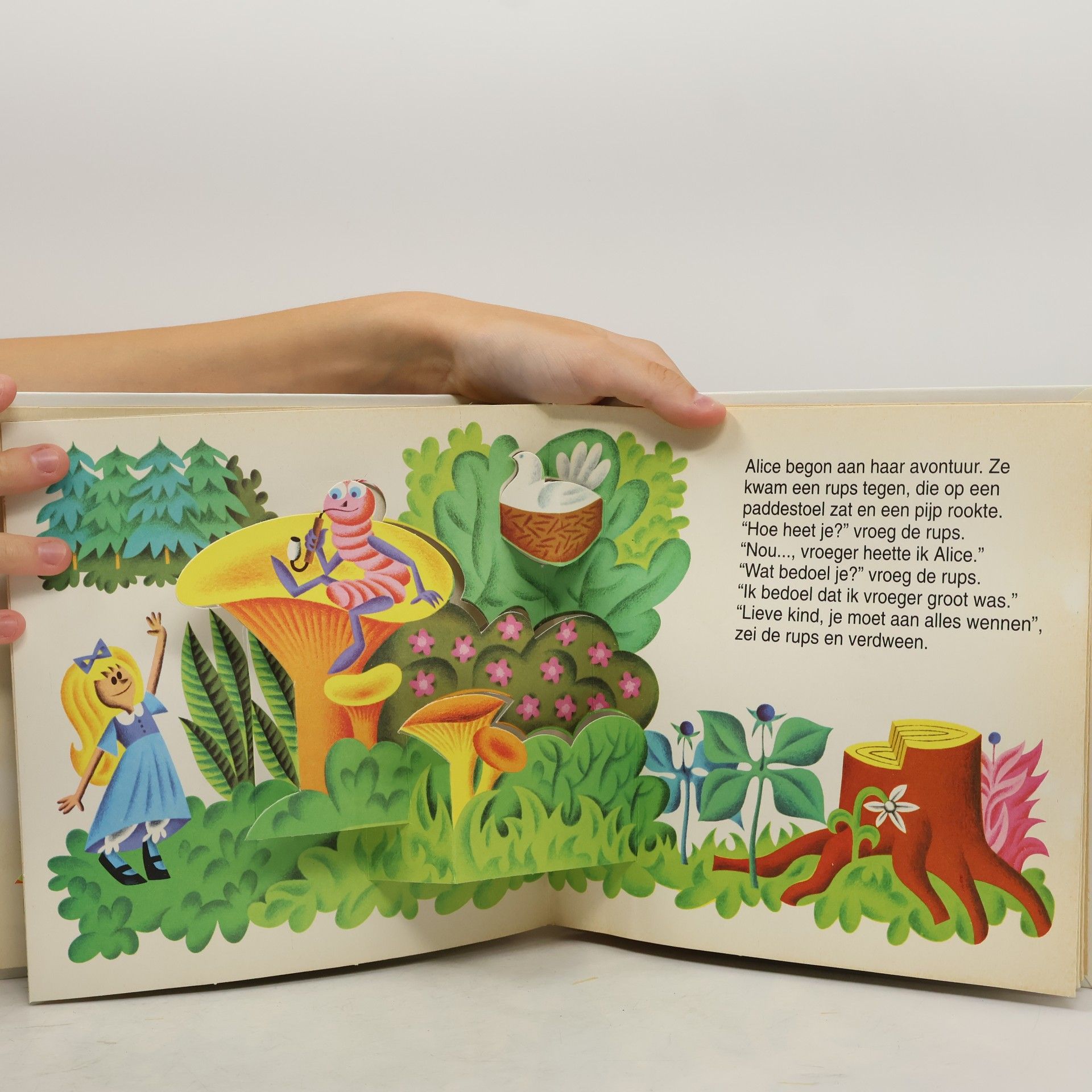 Een panoramaboek - 1: Alice in Wonderland
