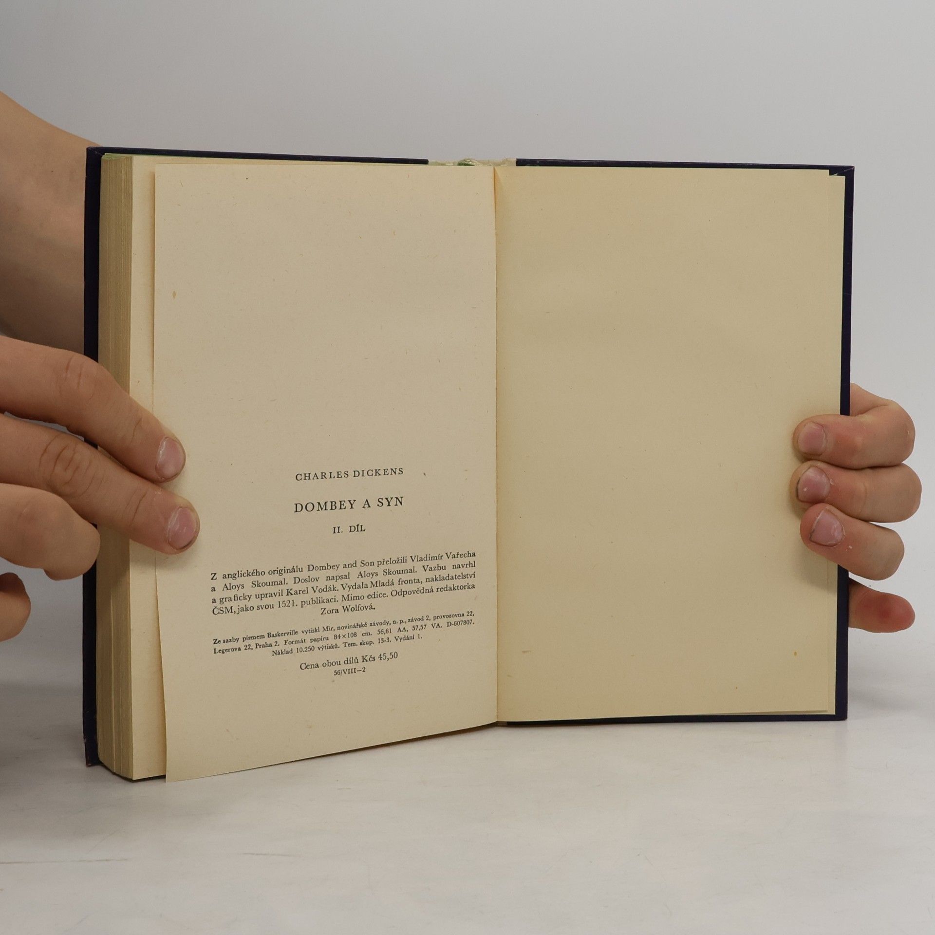 Charles Dickens Dombey a syn