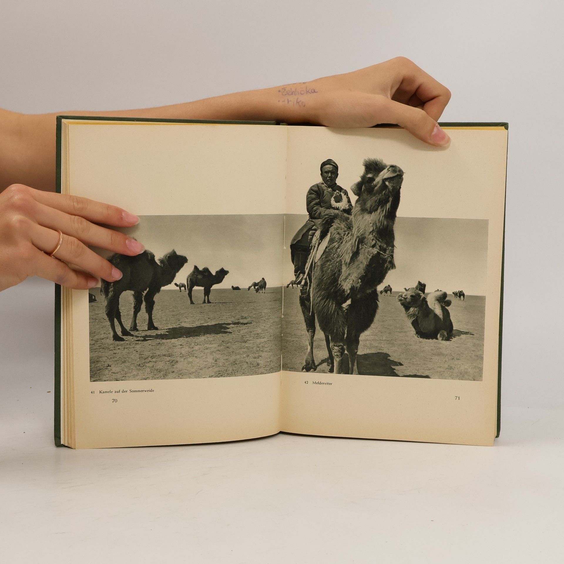 Walter Bosshard Kühles Grasland Mongolei