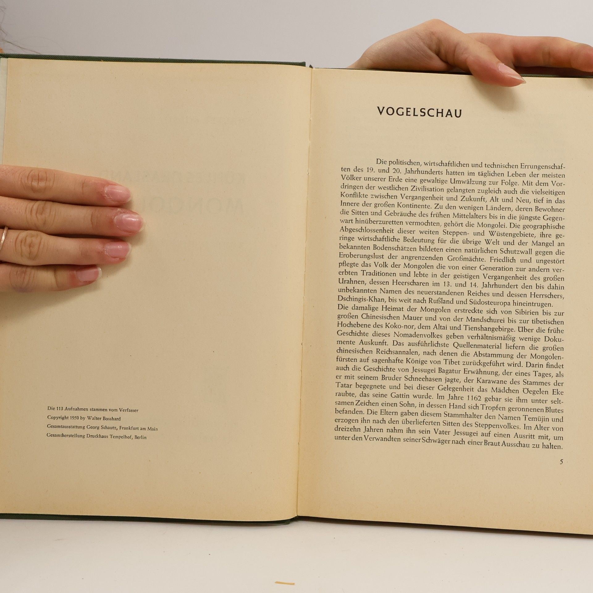 Walter Bosshard Kühles Grasland Mongolei