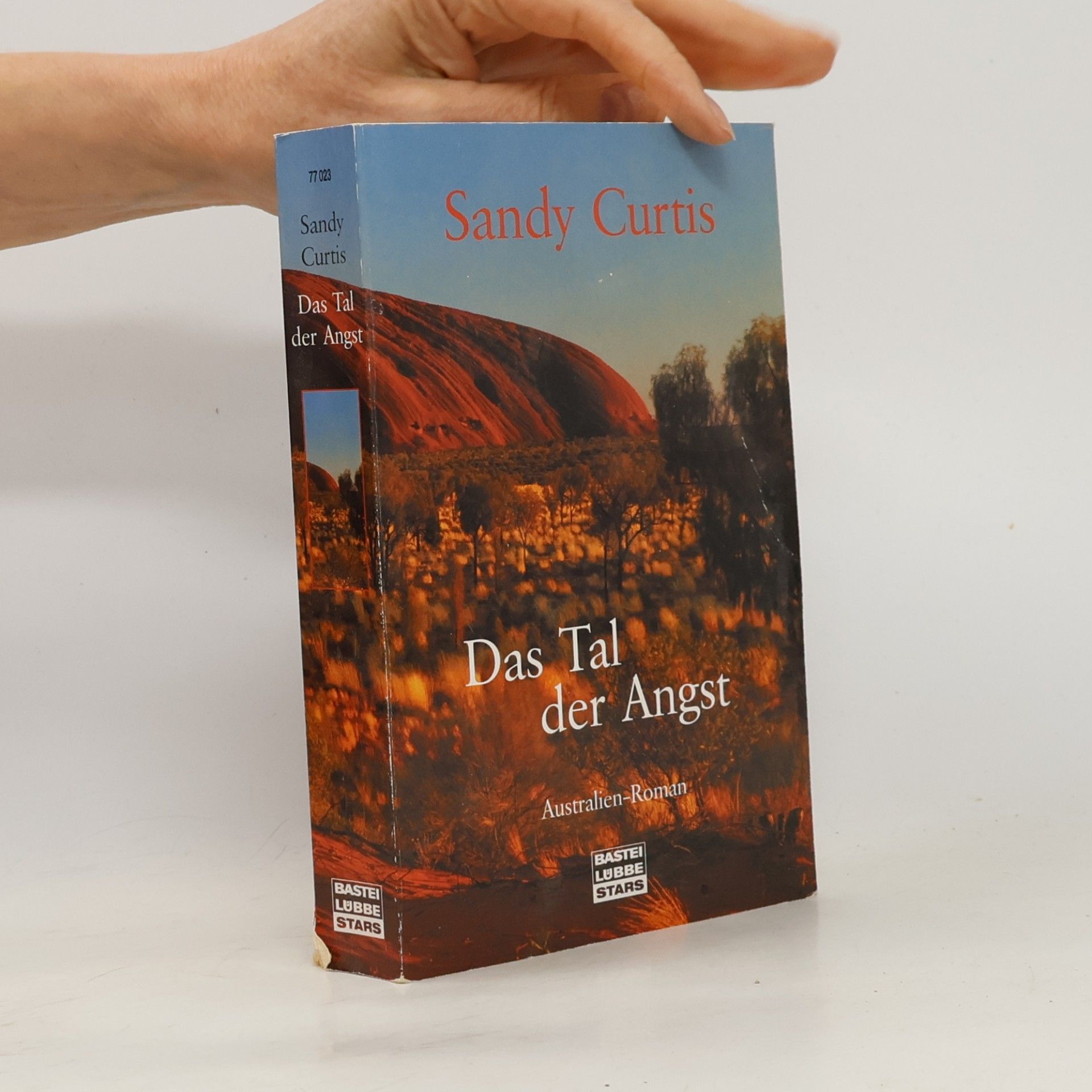 Sandy Curtis Das Tal der Angst