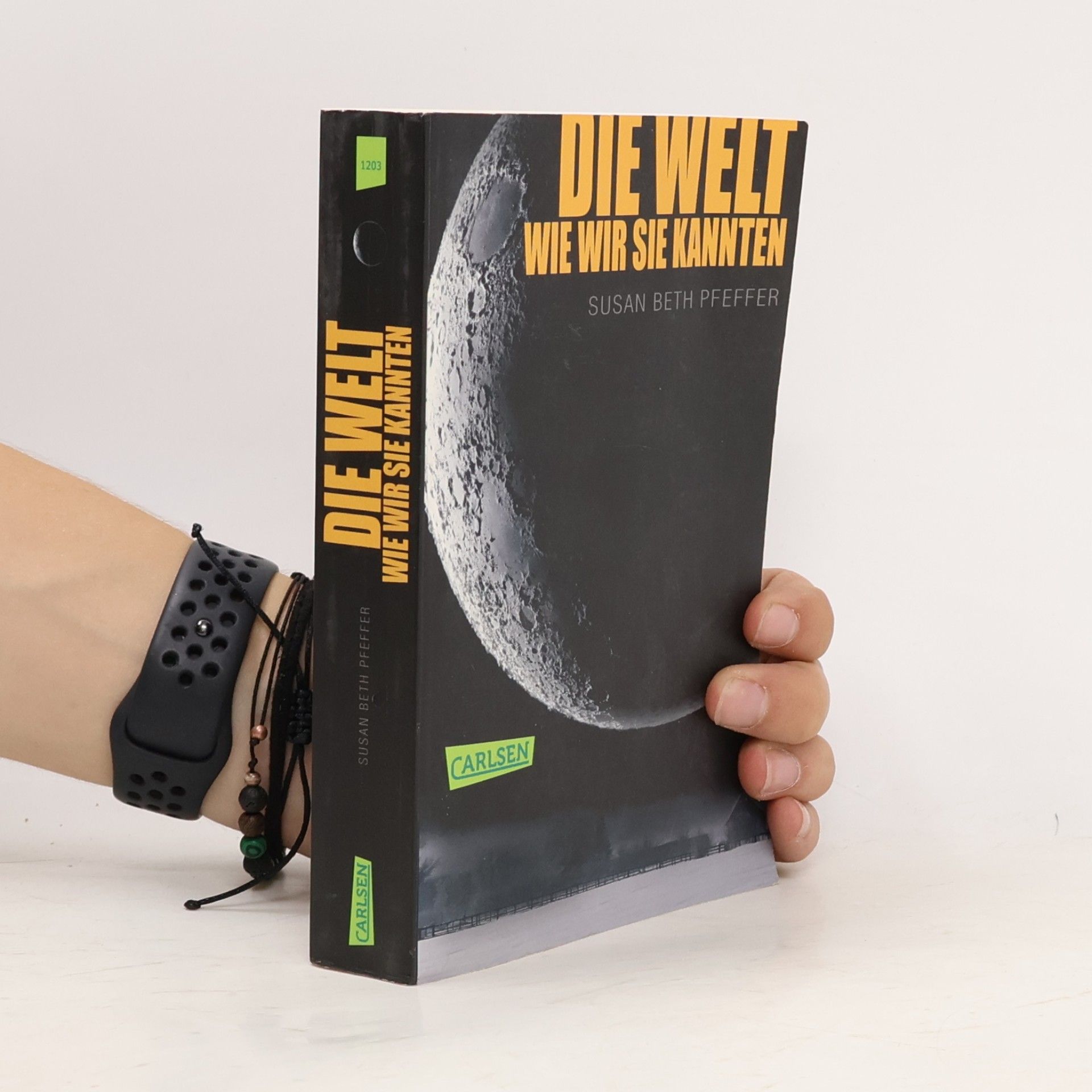 Susan Beth Pfeffer Die Welt, wie wir sie kannten