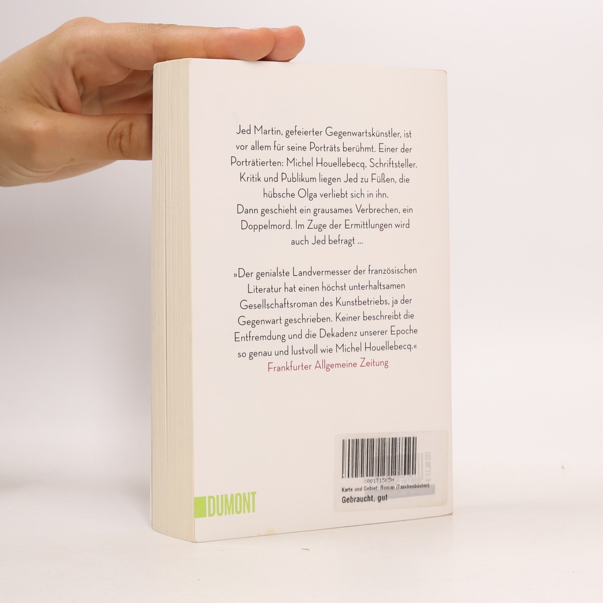 Michel Houellebecq Karte und Gebiet