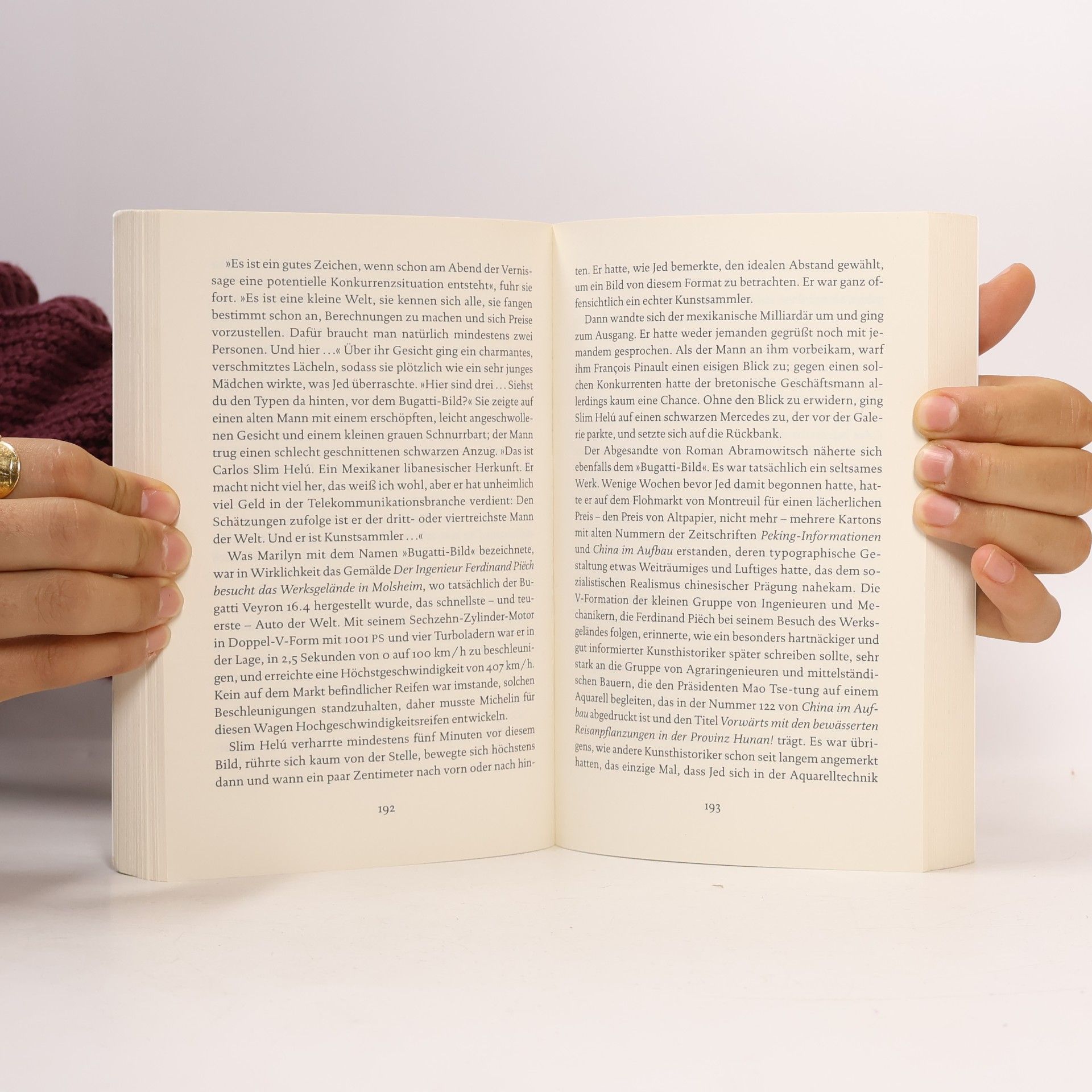 Michel Houellebecq Karte und Gebiet