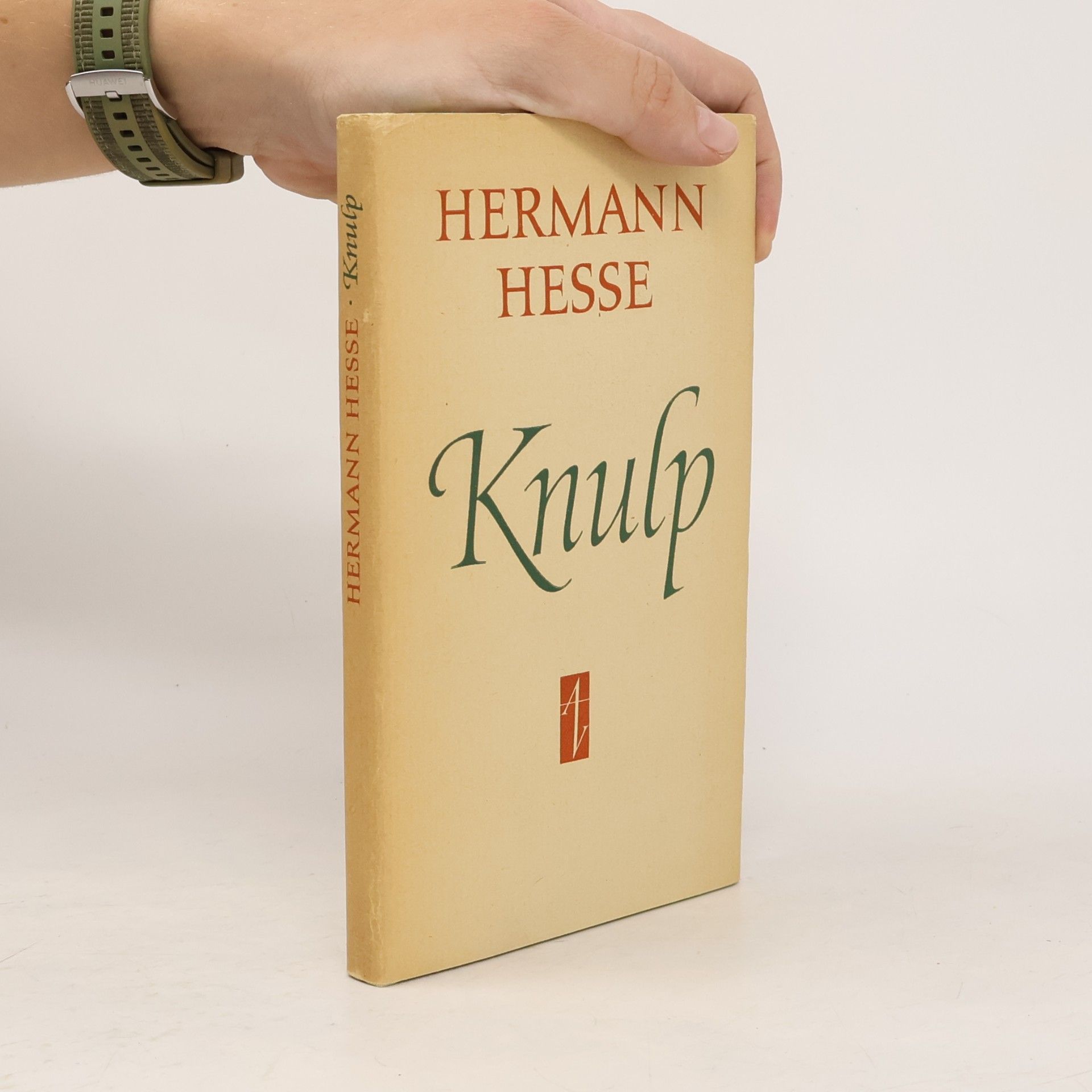 Hermann Hesse Knulp