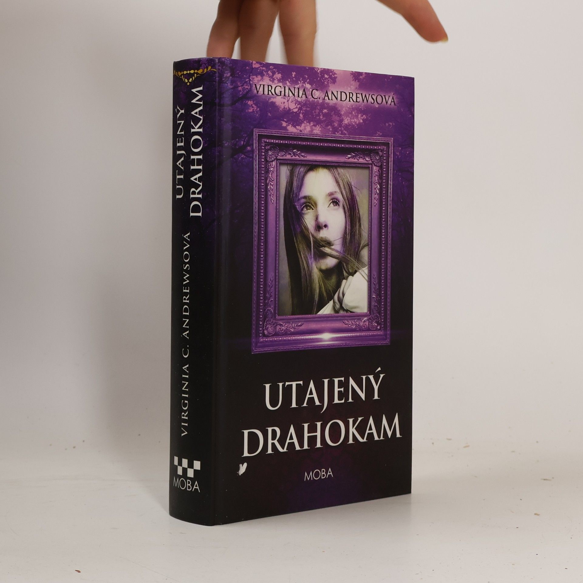 V. C. Andrews Utajený drahokam