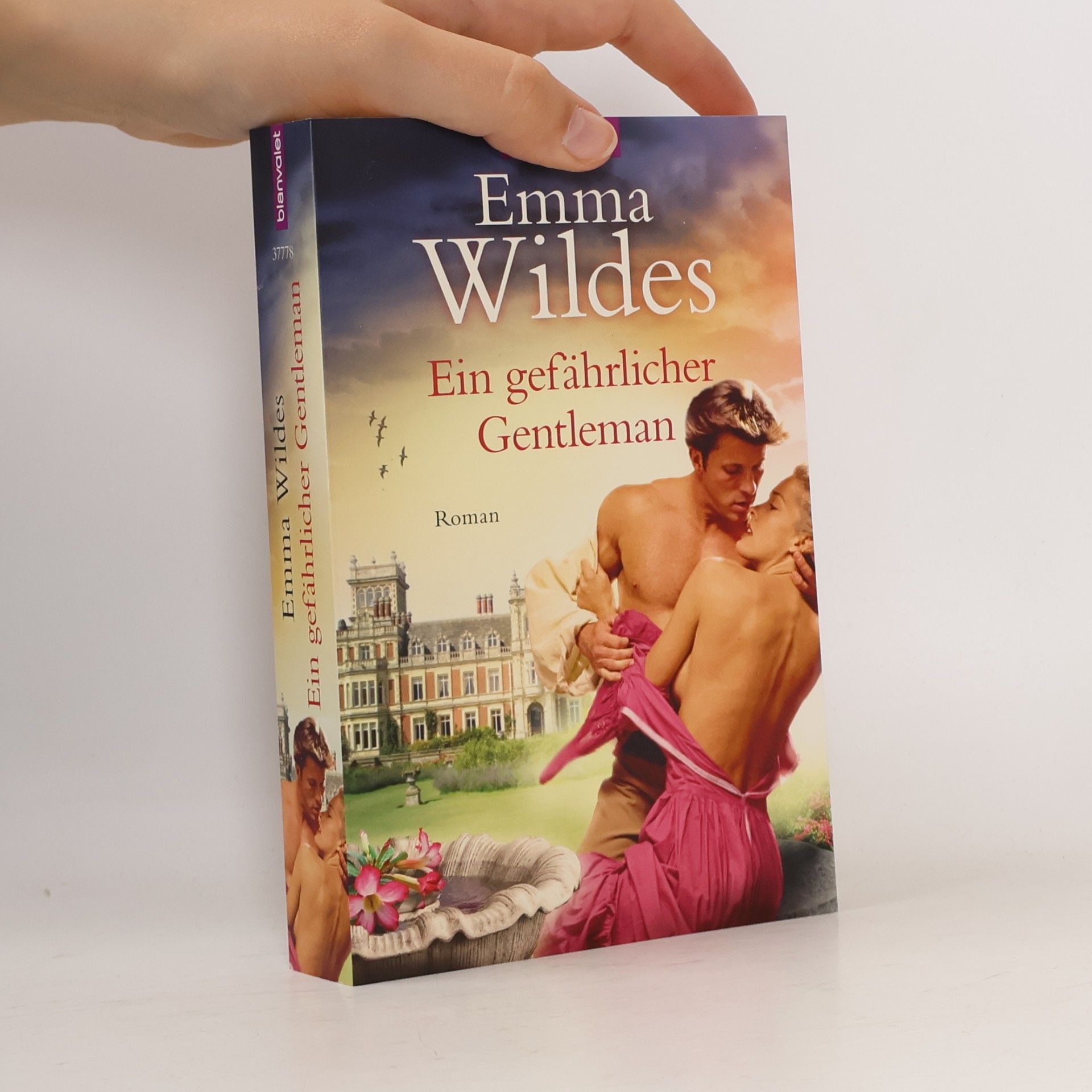 Emma Wildes Ein gefährlicher Gentleman
