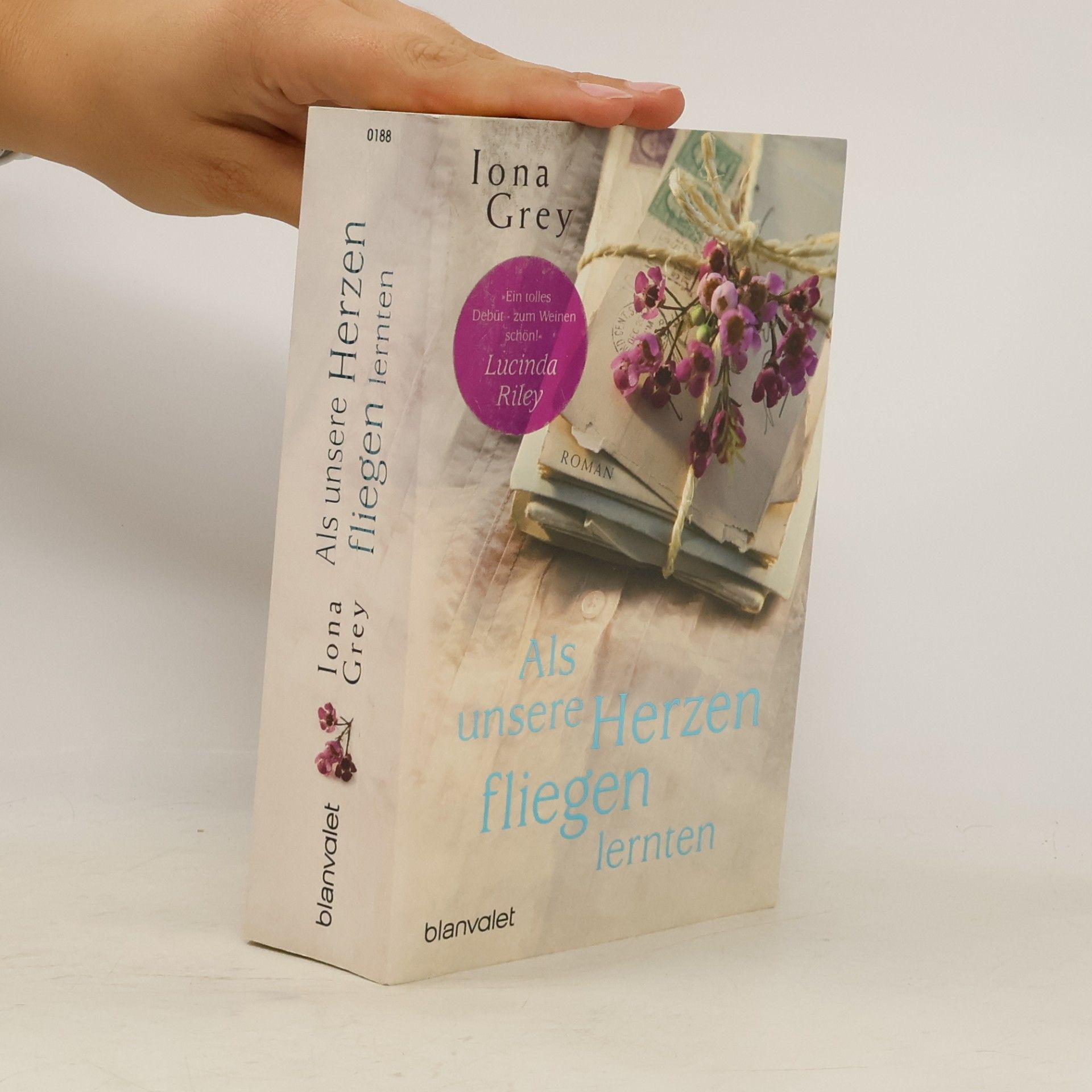 Iona Grey Als unsere Herzen fliegen lernten