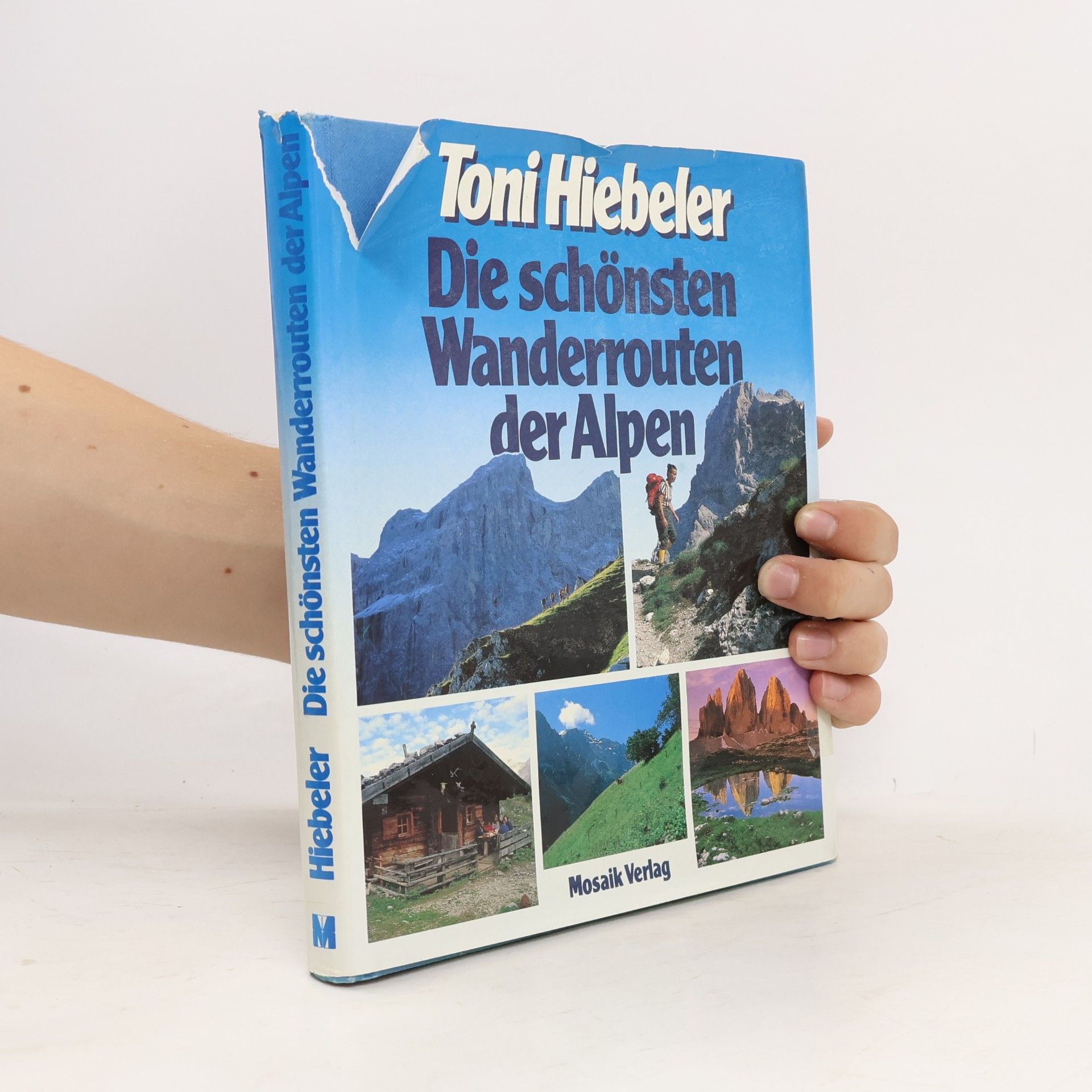 Toni Hiebeler Die schönsten Wanderrouten der Alpen