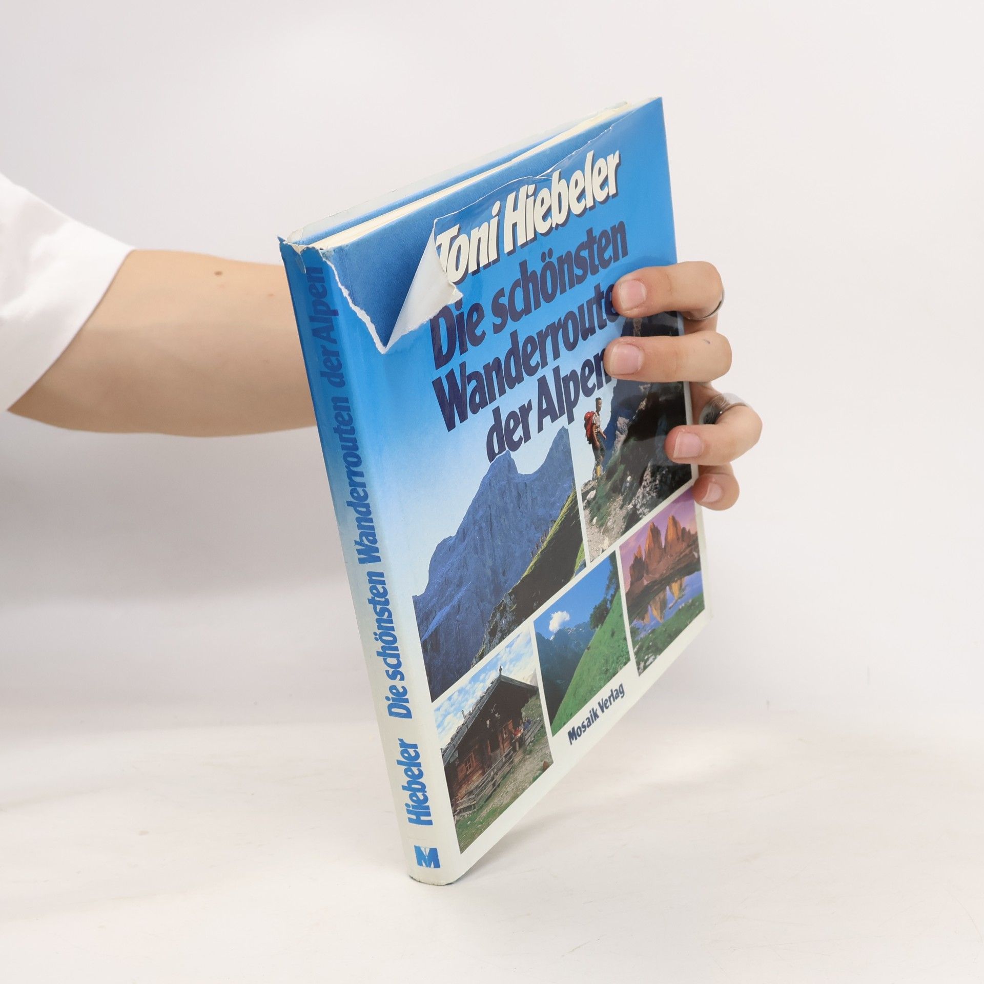 Toni Hiebeler Die schönsten Wanderrouten der Alpen