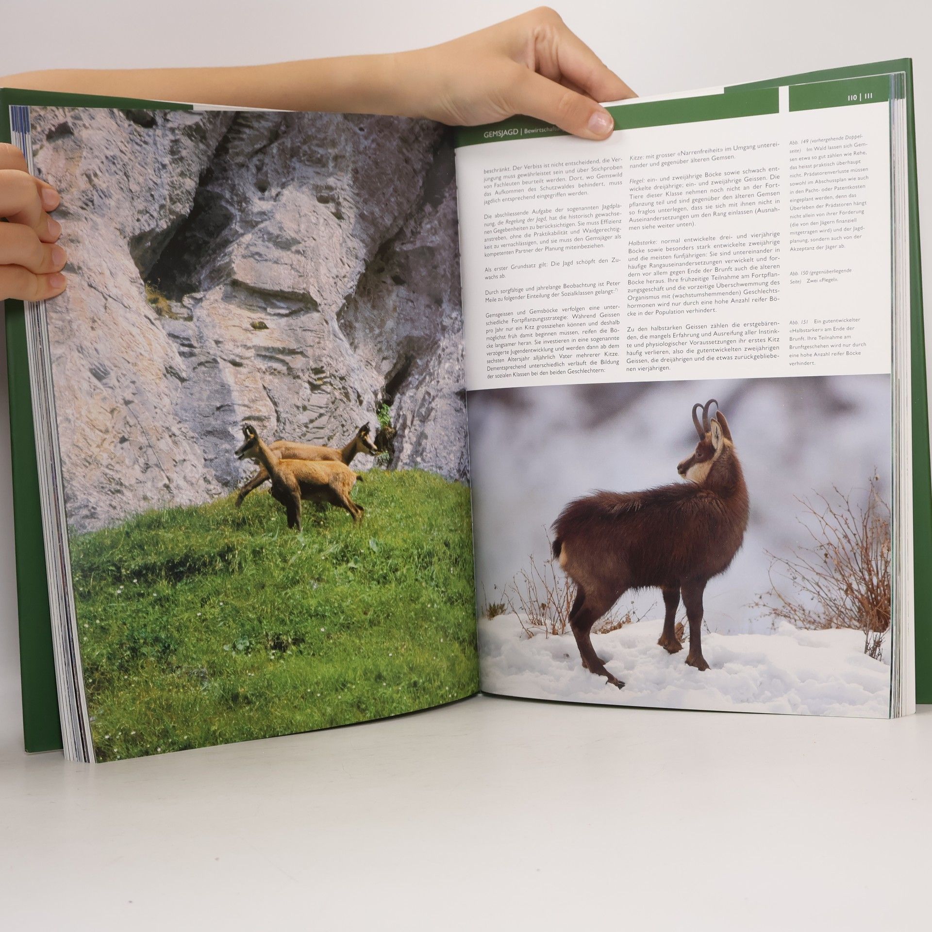 Reinhard Schnidrig Petrig Die Gemse - Biologie und Jagd