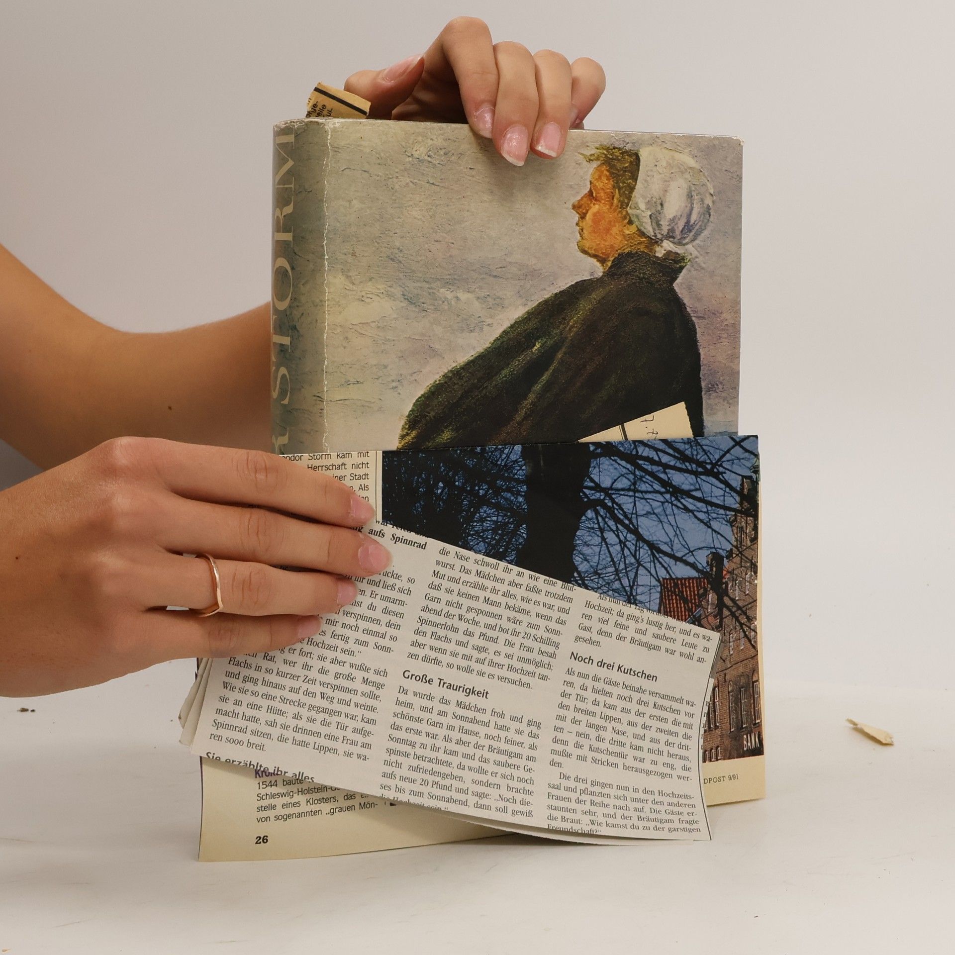 Theodor Storm Am Grauen Meer