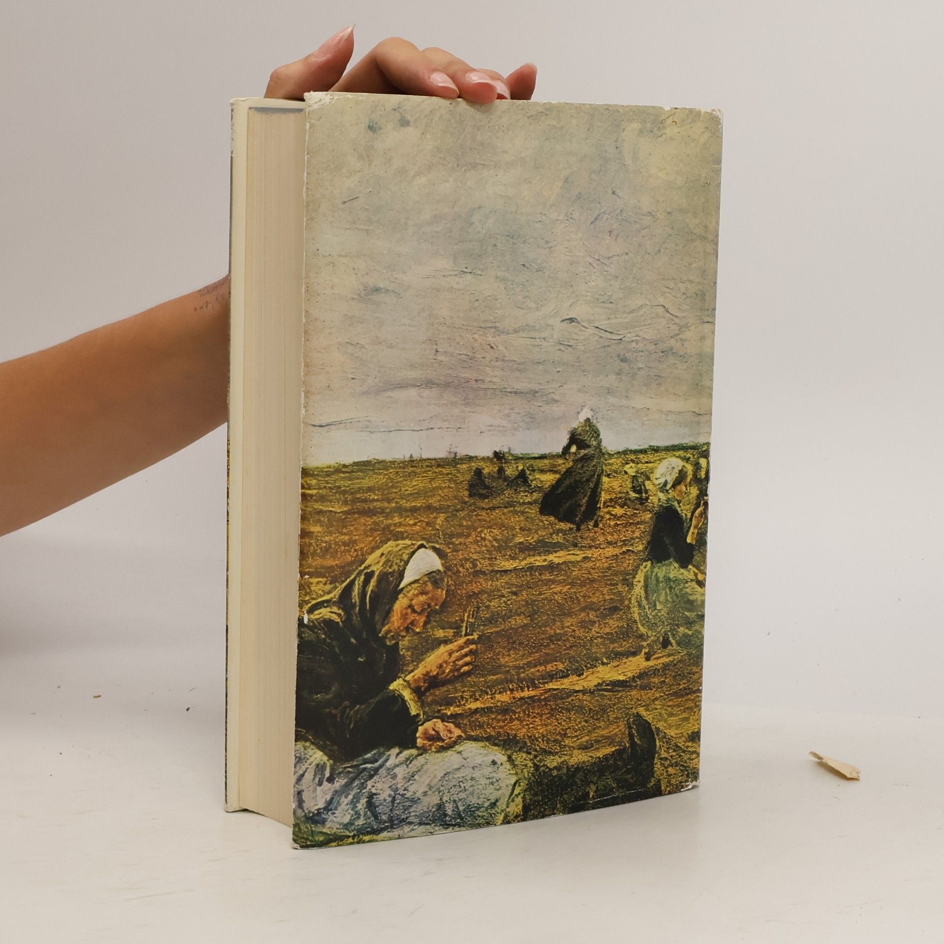 Theodor Storm Am Grauen Meer