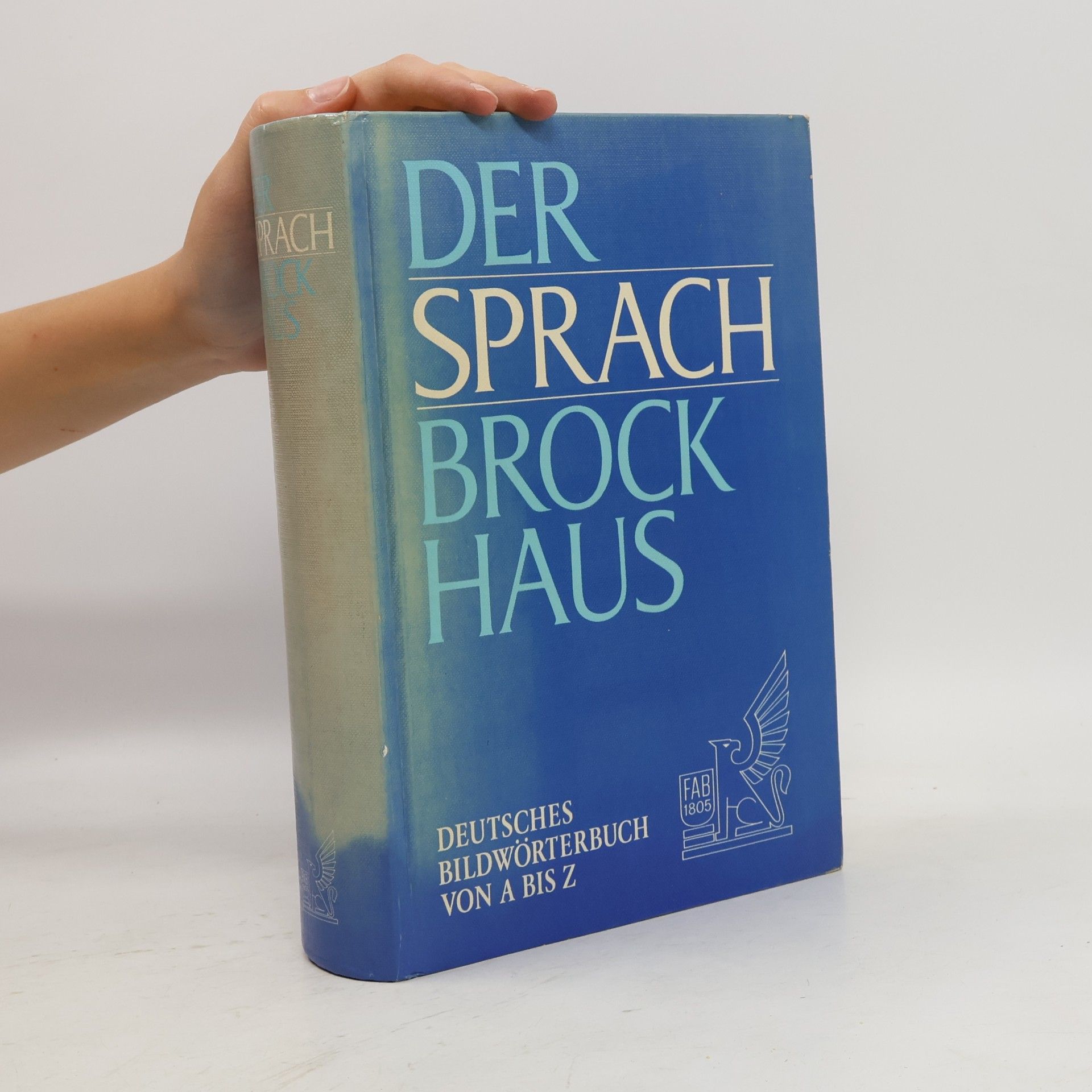 Kolektív autorov Der Sprach-Brockhaus