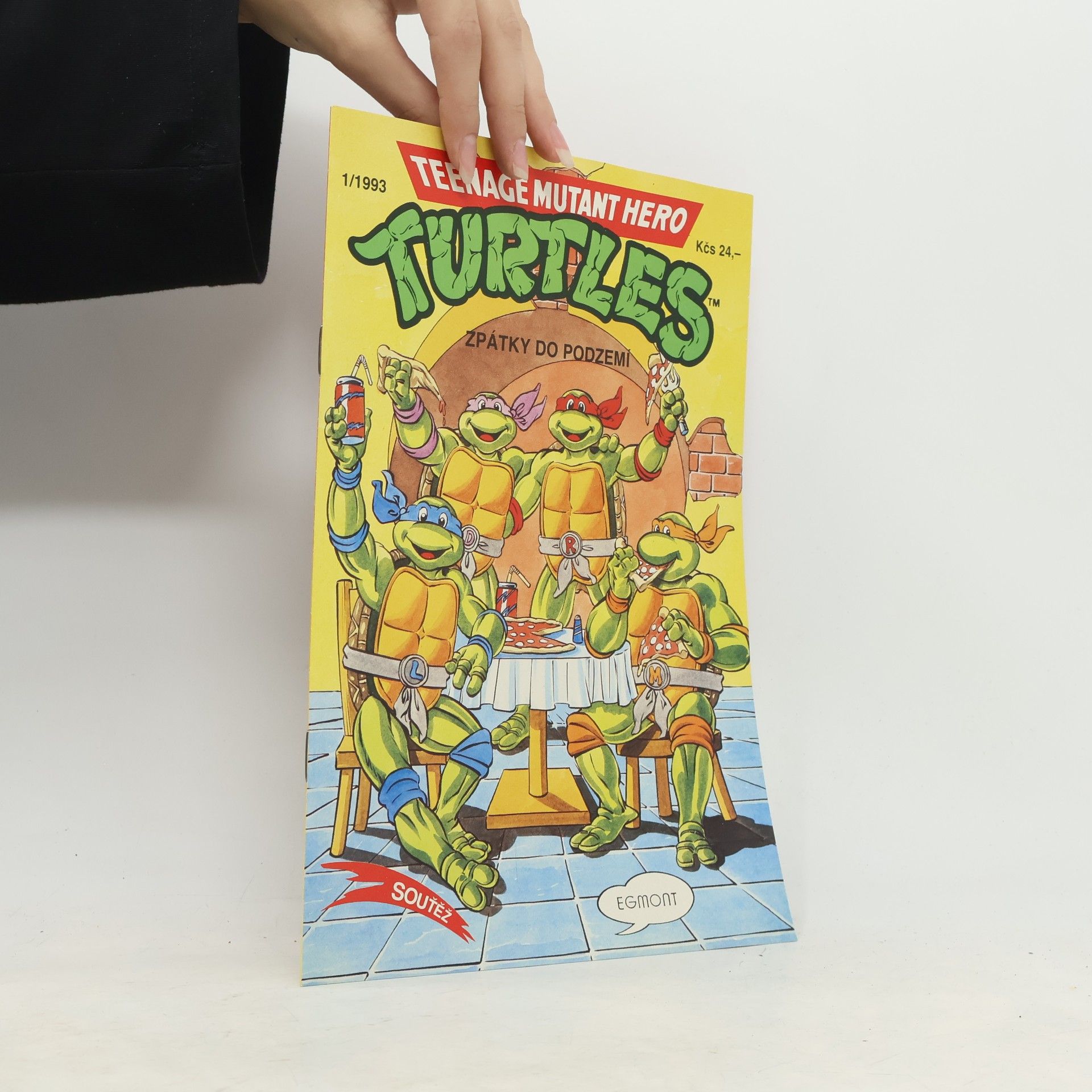 Teenage Mutant Hero Turtles #13
