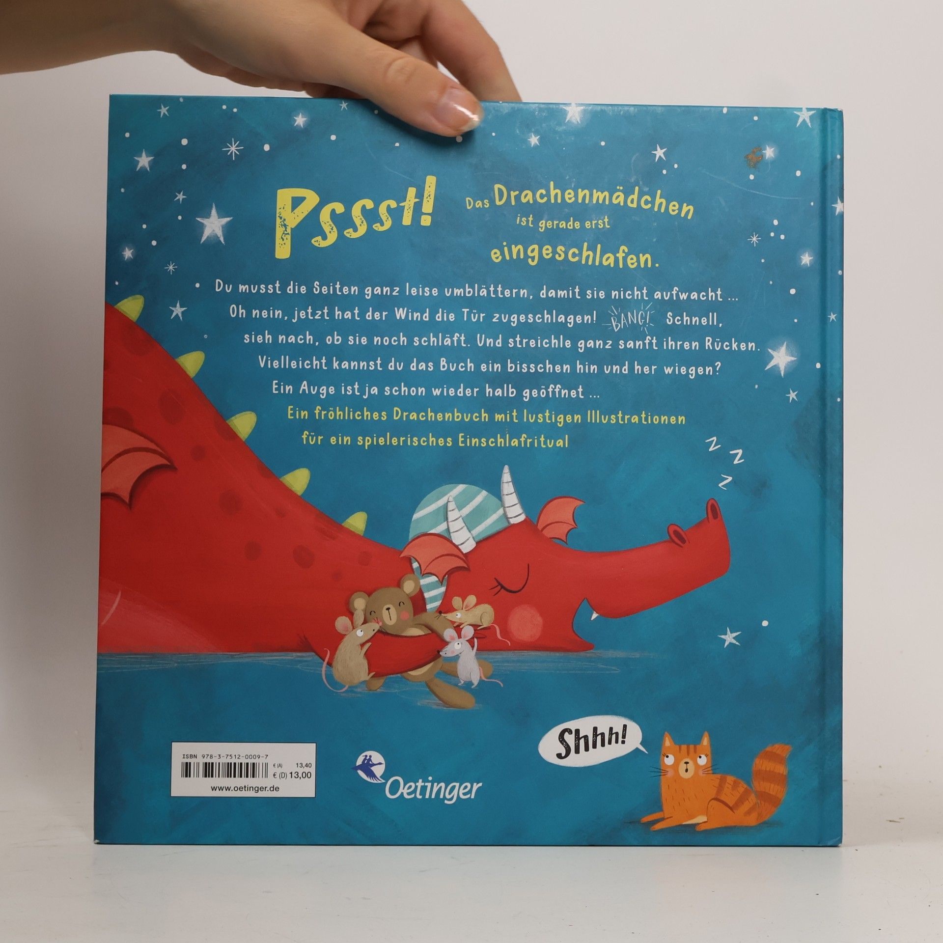 Bianca Schulze Nicht den Drachen wecken