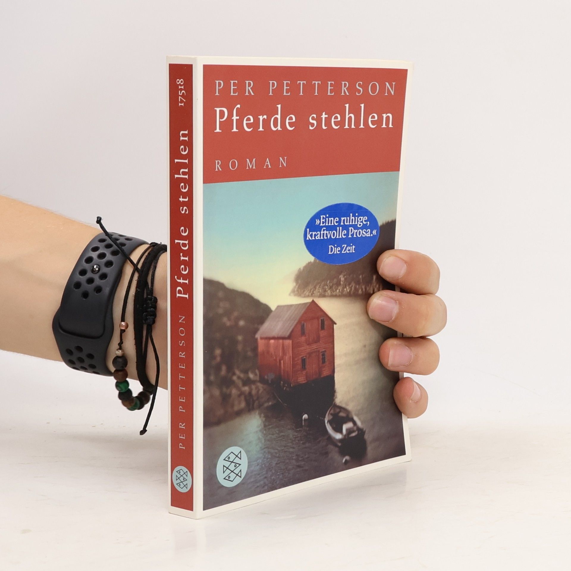 Per Petterson Pferde stehlen