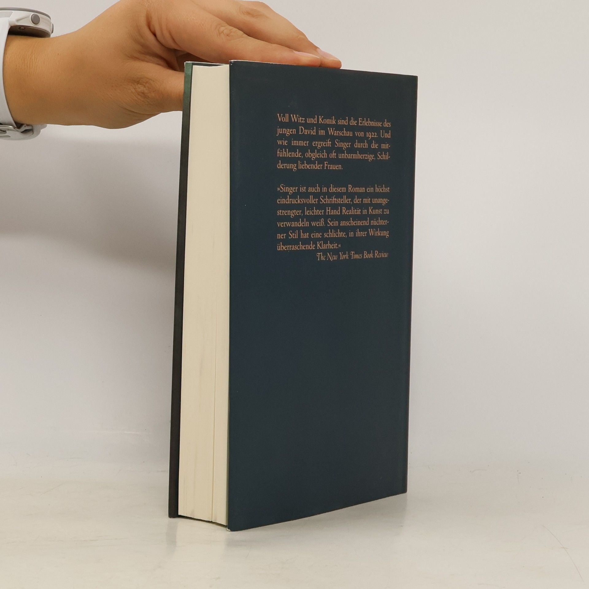 Isaac Bashevis Singer Das Visum