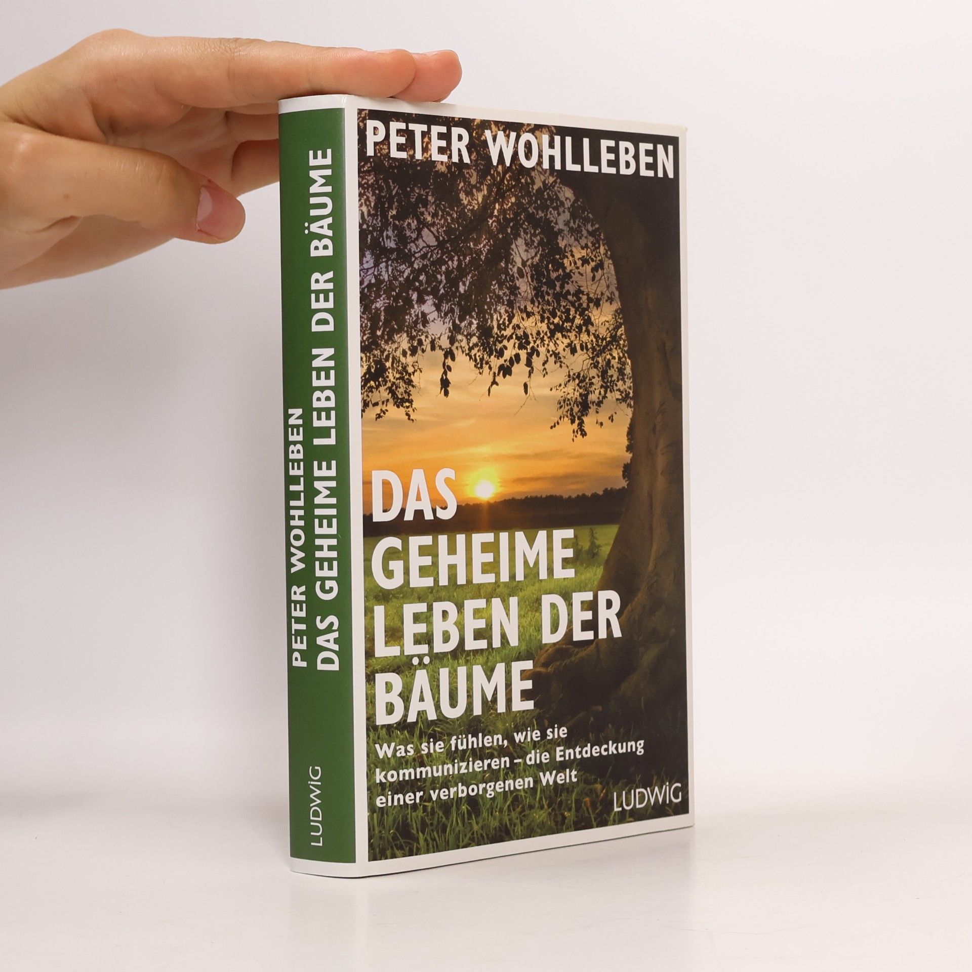 Peter Wohlleben Das geheime Leben der Bäume