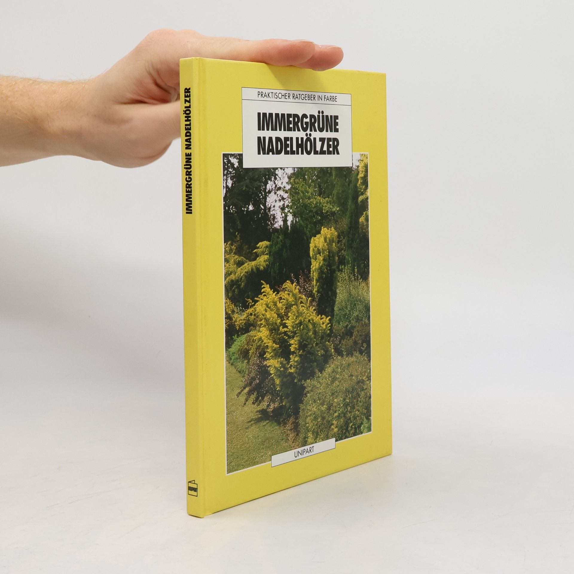 Kenneth A. Beckett Immergrüne Nadelhölzer