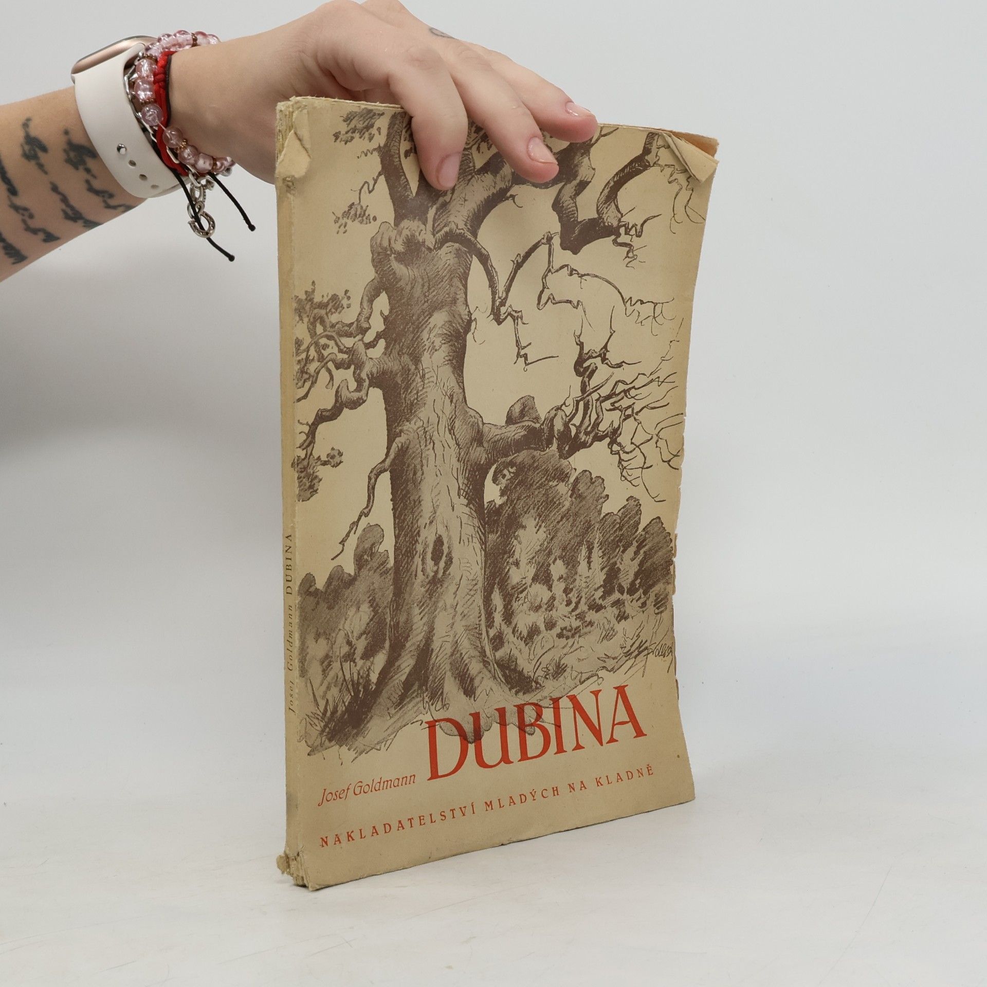 Josef Goldmann Dubina