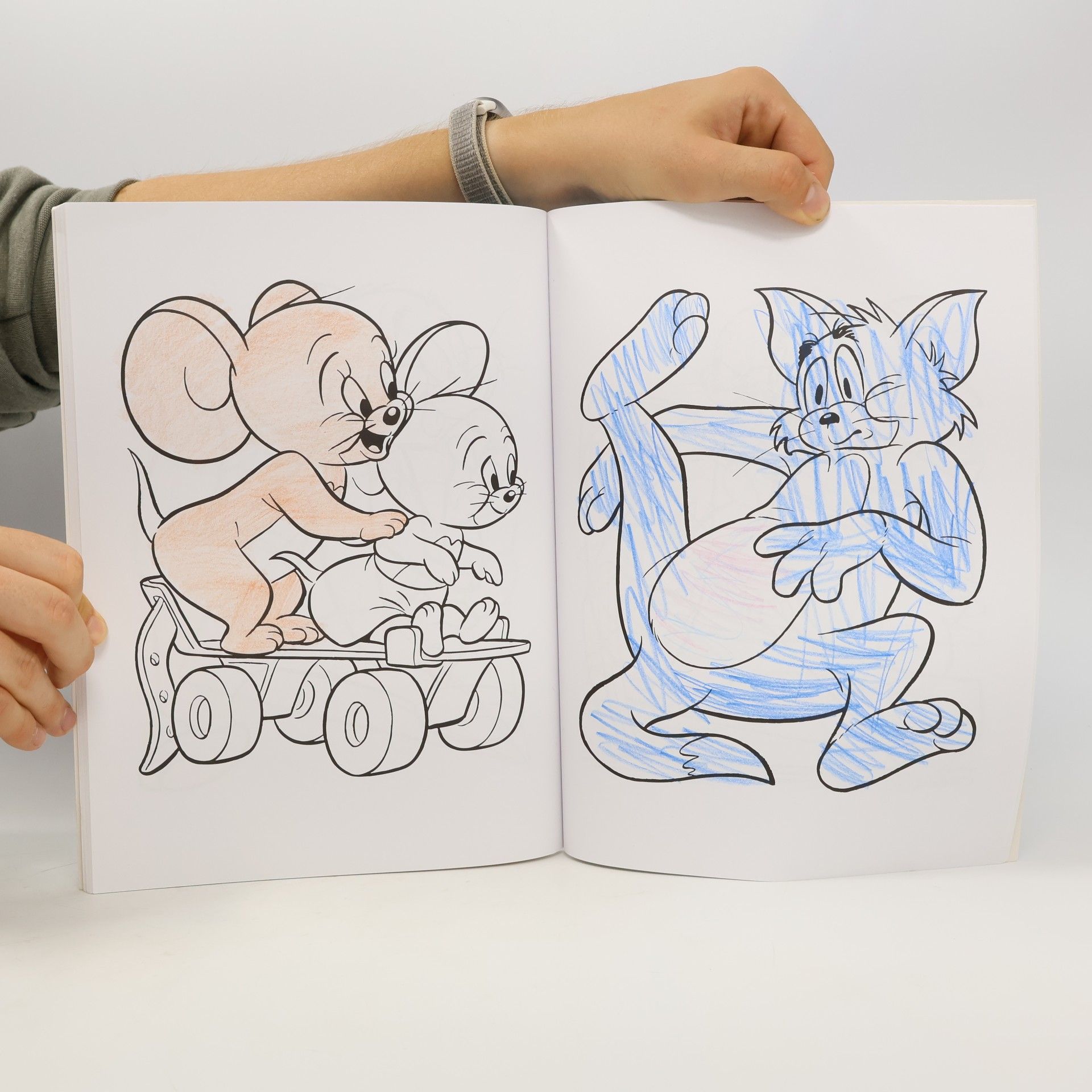 Autorenkollektiv Lustige Malbilder