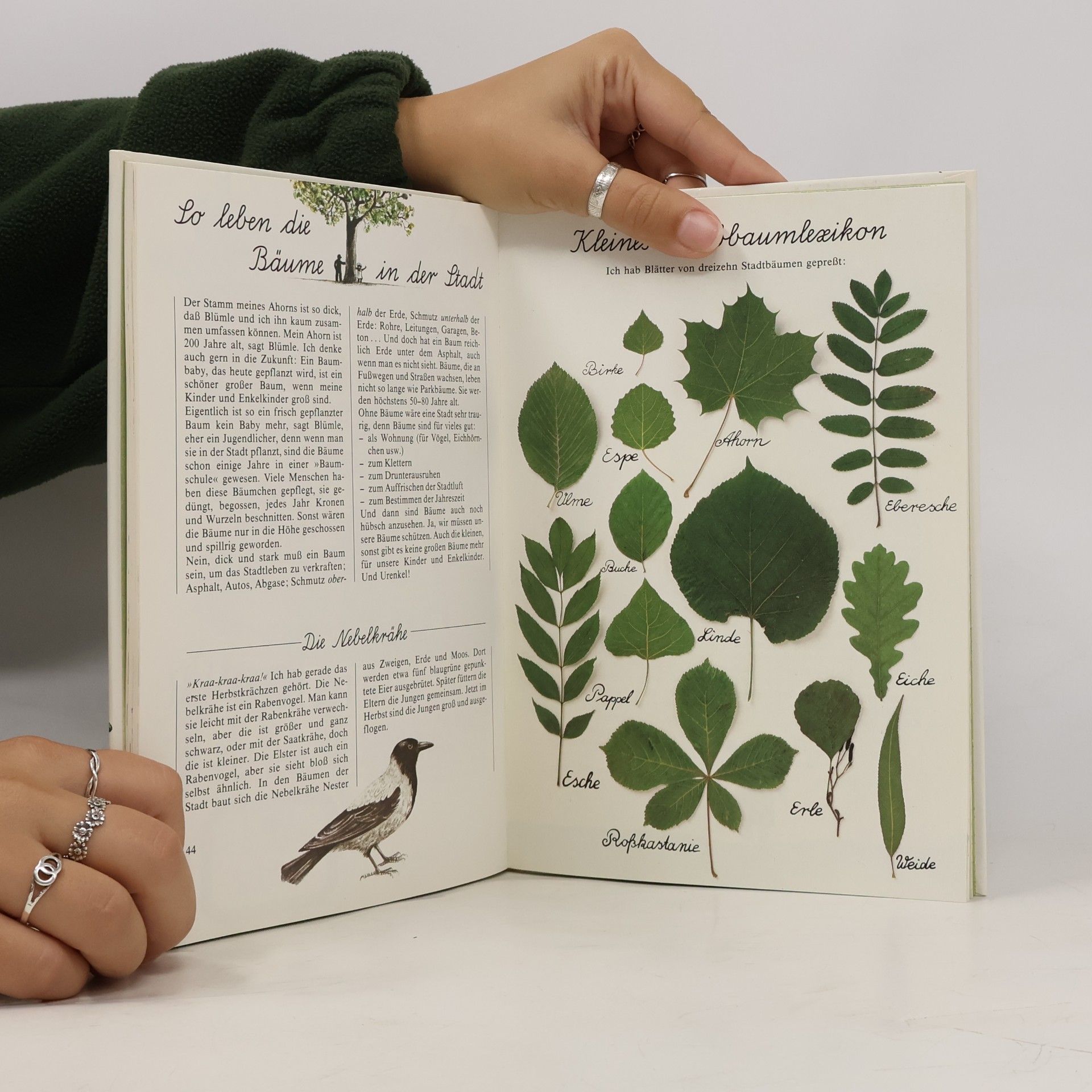 Lena Anderson Linnéas Jahrbuch