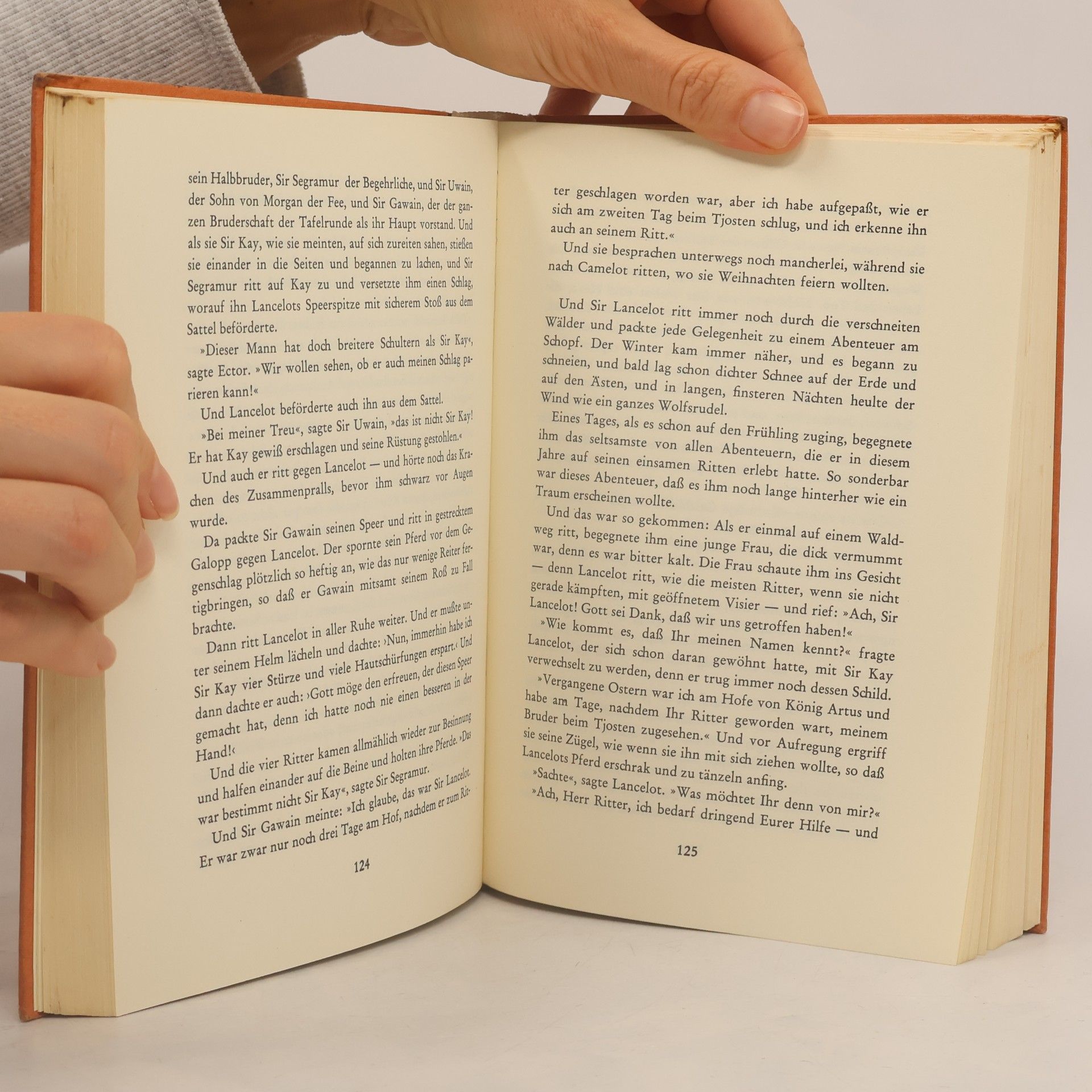 Rosemary Sutcliff Merlin und Artus. Wie die Ritter von der Tafelrunde sich zusammenfinden