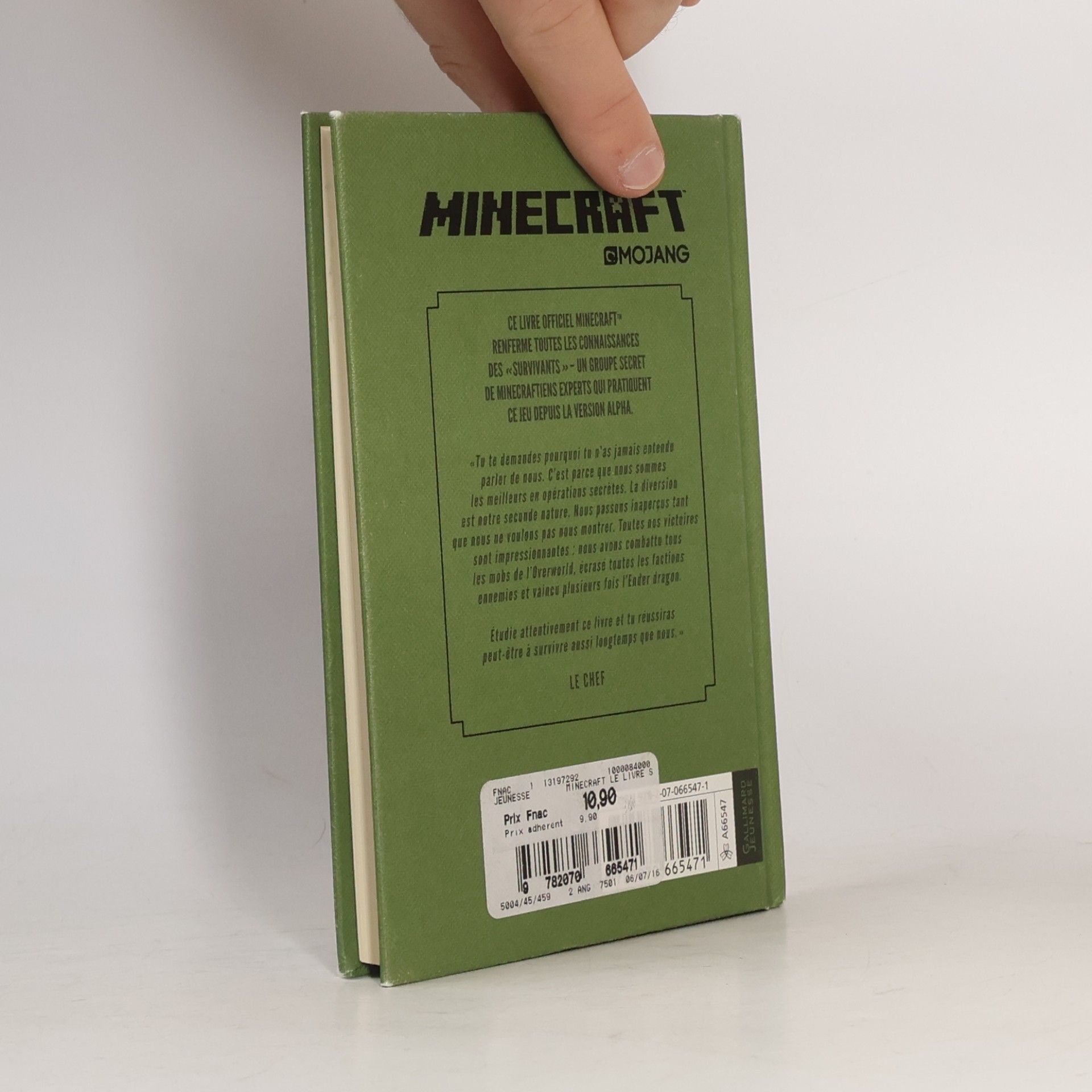 Stephanie Milton Minecraft. Le Livre secret des survivants