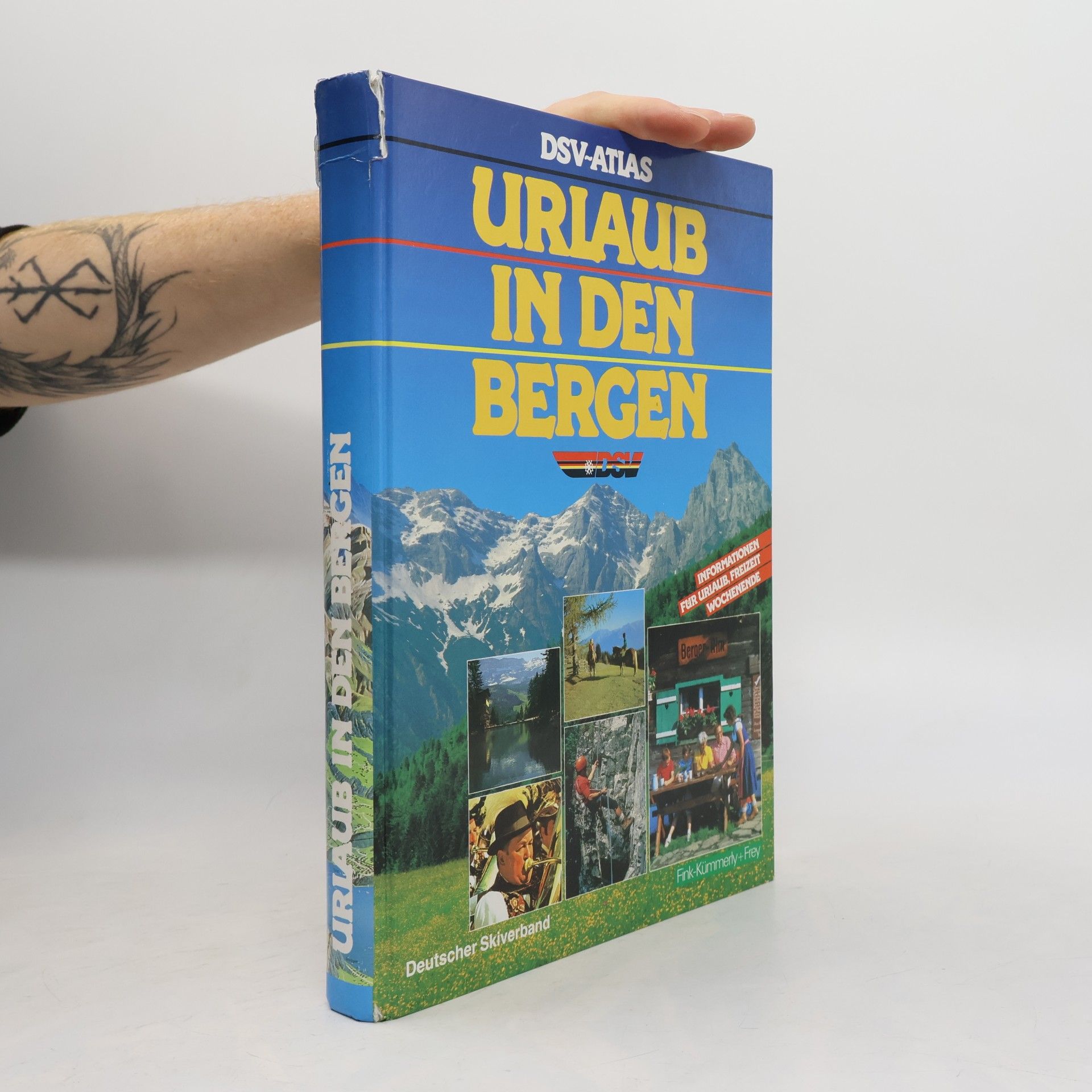 Albert Allgaier Urlaub in den Bergen