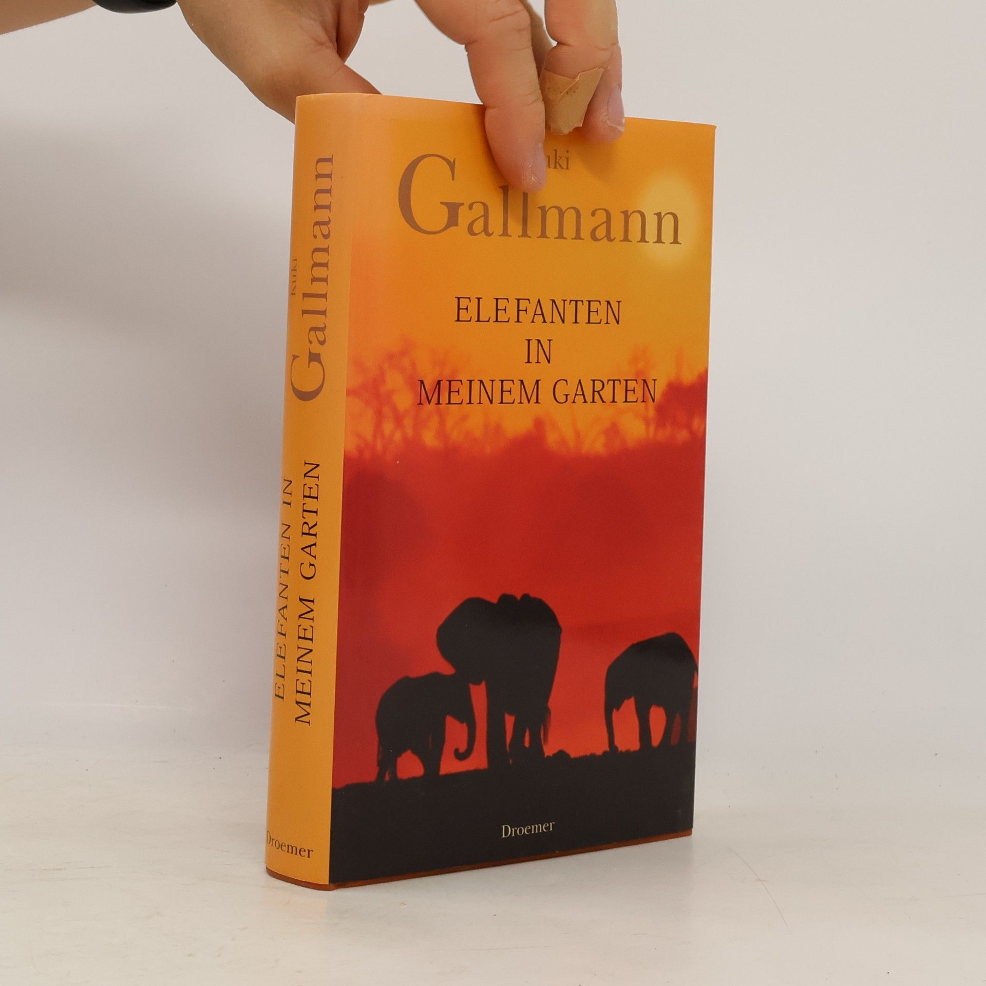 Kuki Gallmann Elefanten in meinem Garten