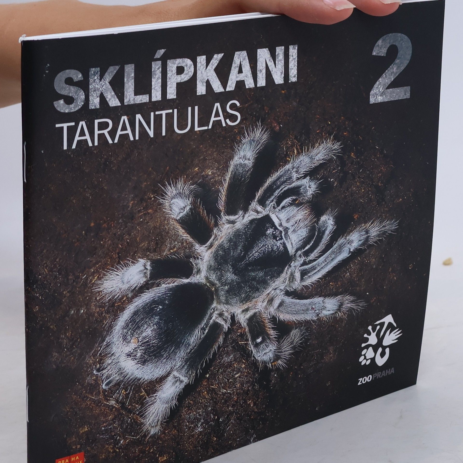 Martin Smrček Sklípkani 2
