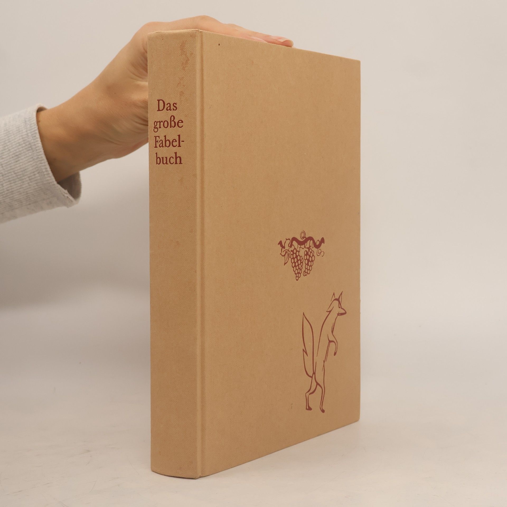 Various authors Das große Fabelbuch