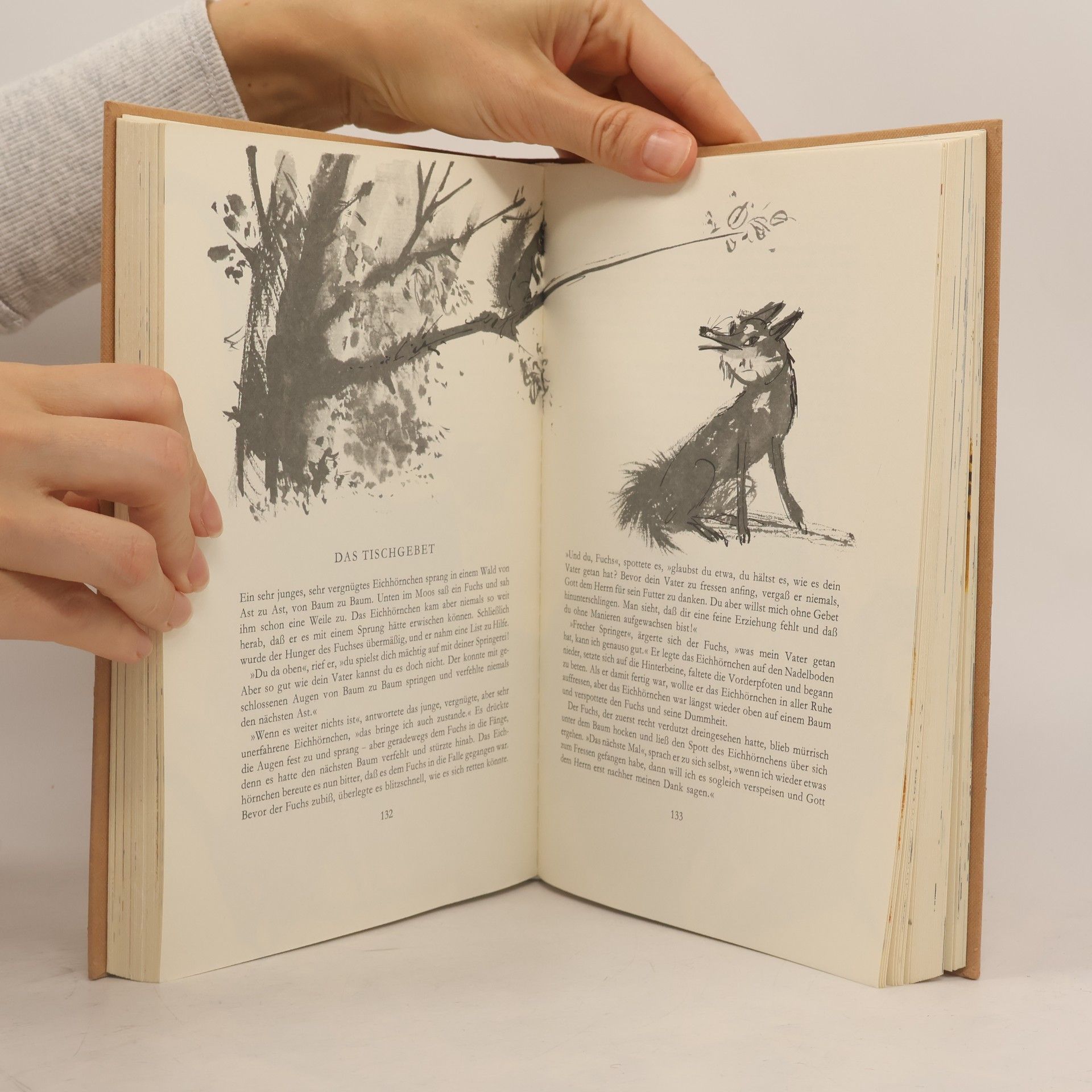 kolektiv Das große Fabelbuch