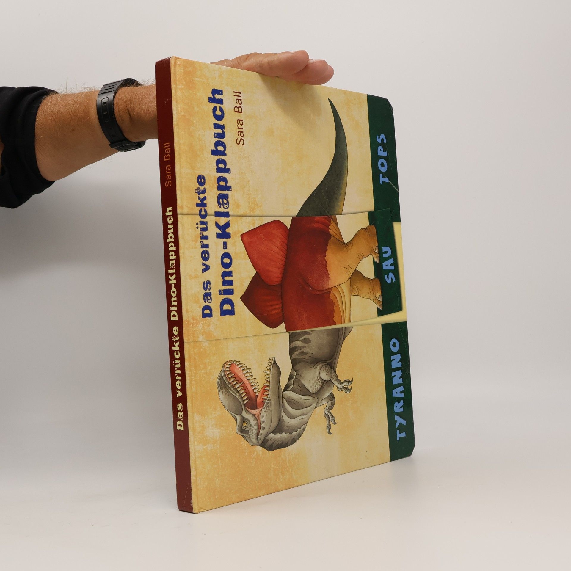 Das verrückte Dino-Klappbuch