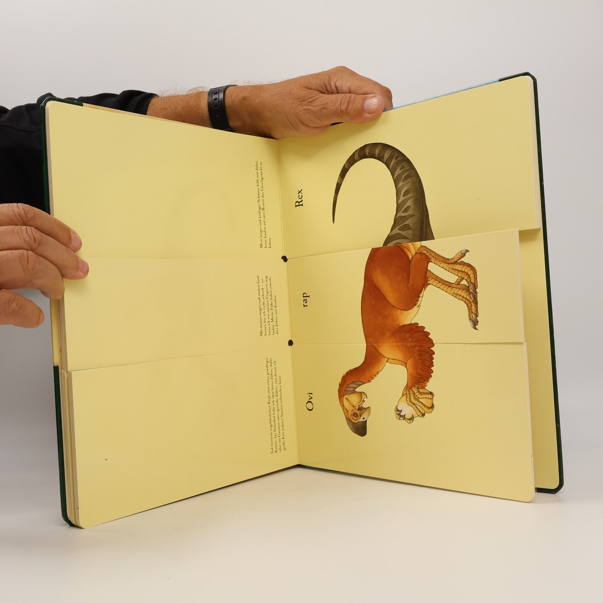 Sara Ball Das verrückte Dino-Klappbuch