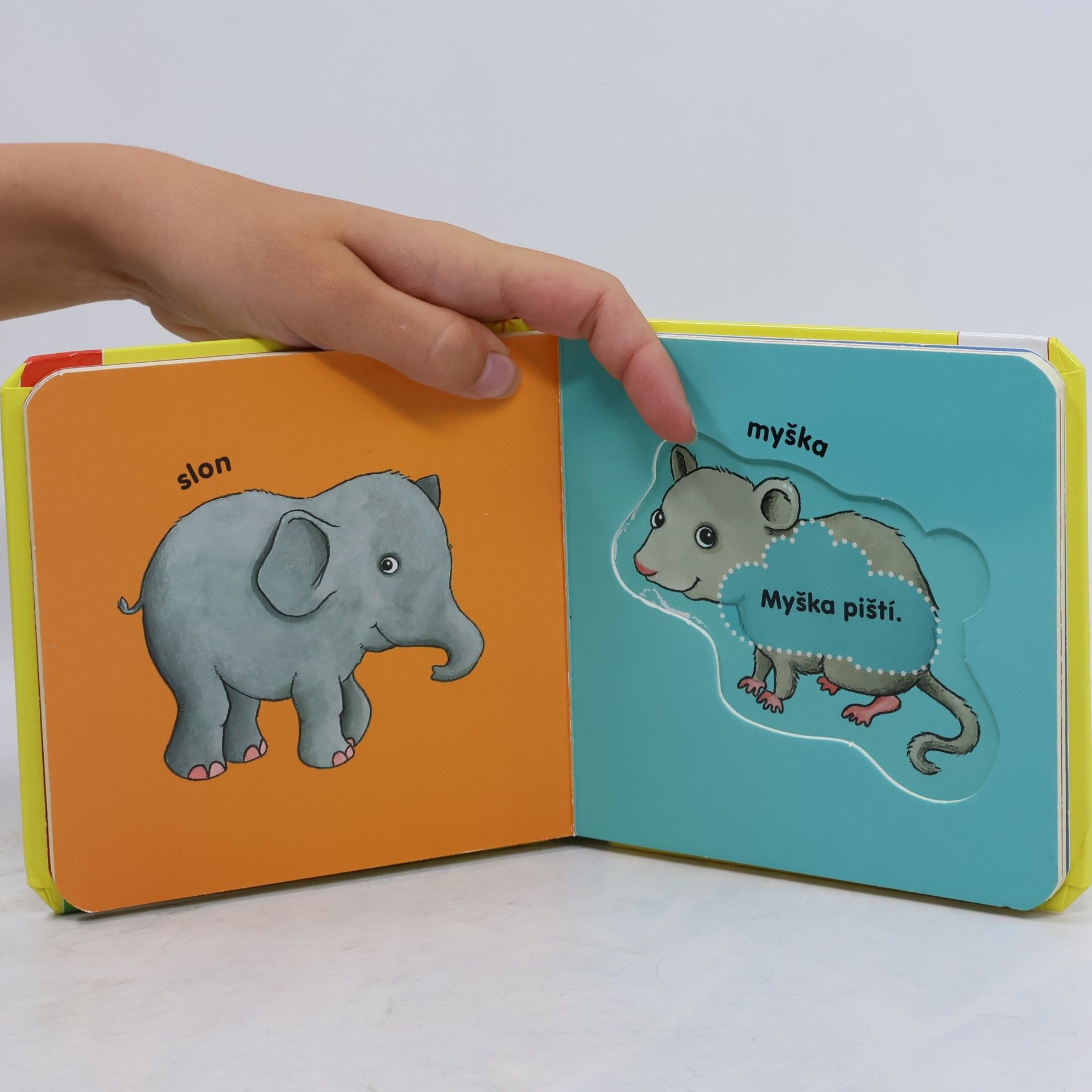 kolektiv Moje knížka s puzzle: Nejoblíbenější zvířatka
