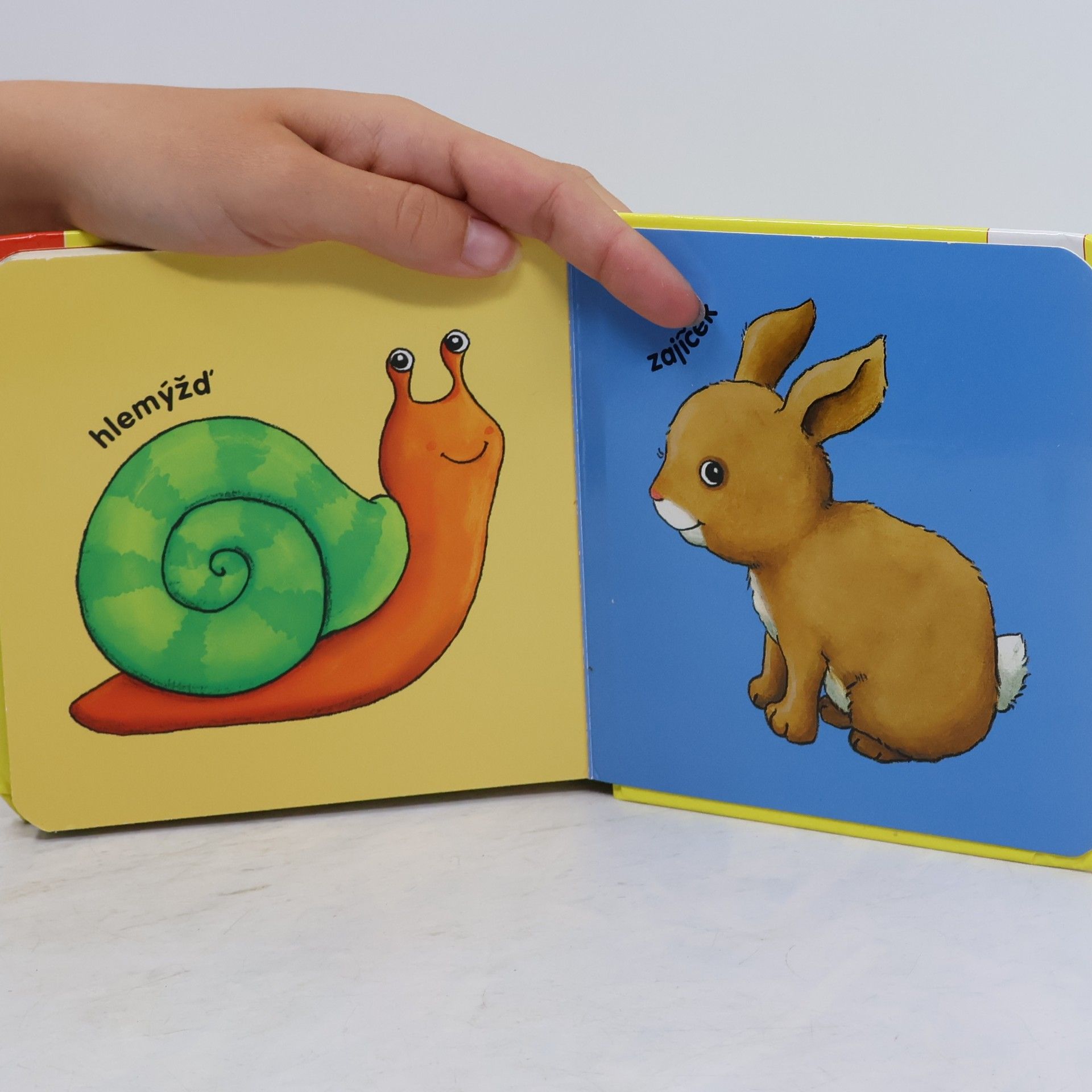 kolektiv Moje knížka s puzzle: Nejoblíbenější zvířatka