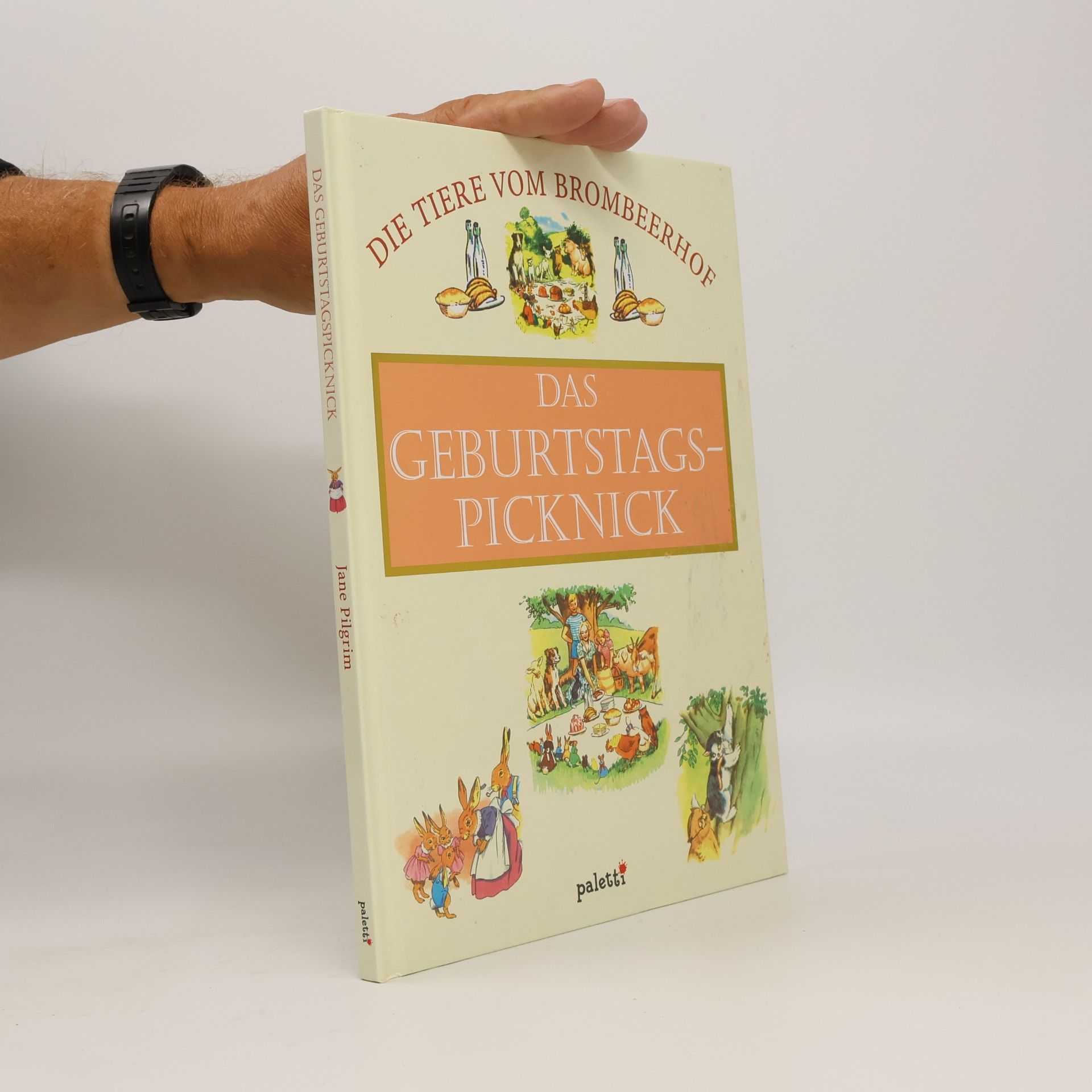 Autorenkollektiv Das Geburtstagspicknick